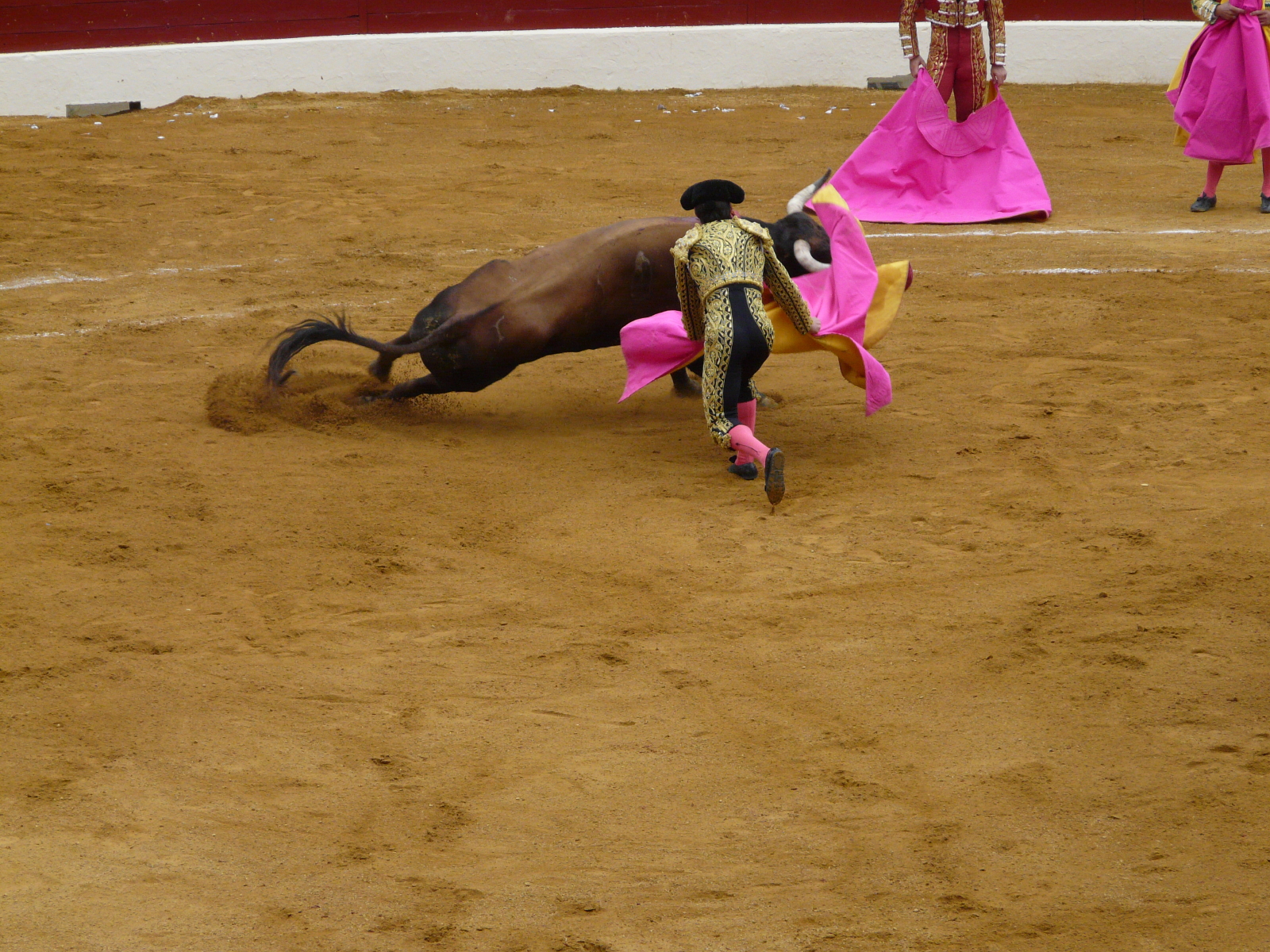 corrida-in-vic