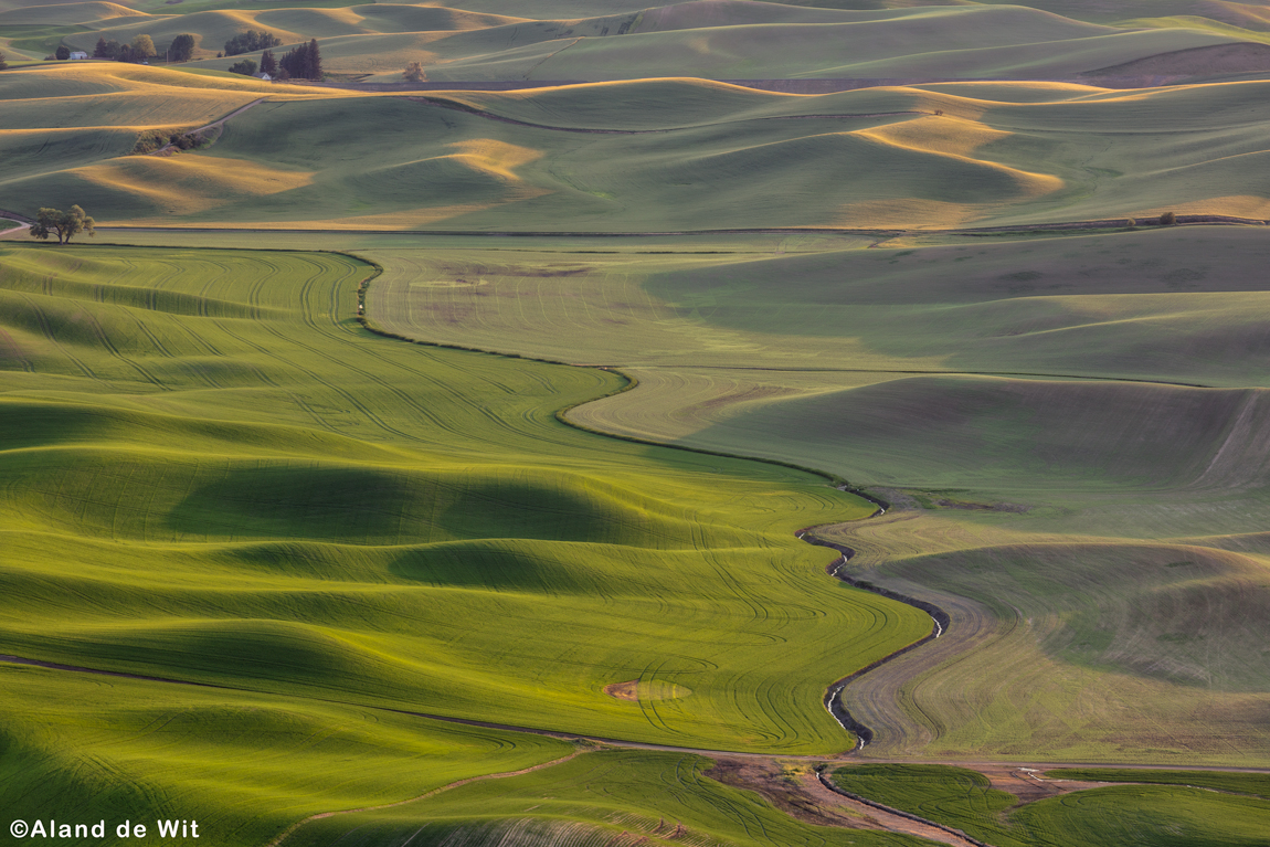 palouse-greens-ii