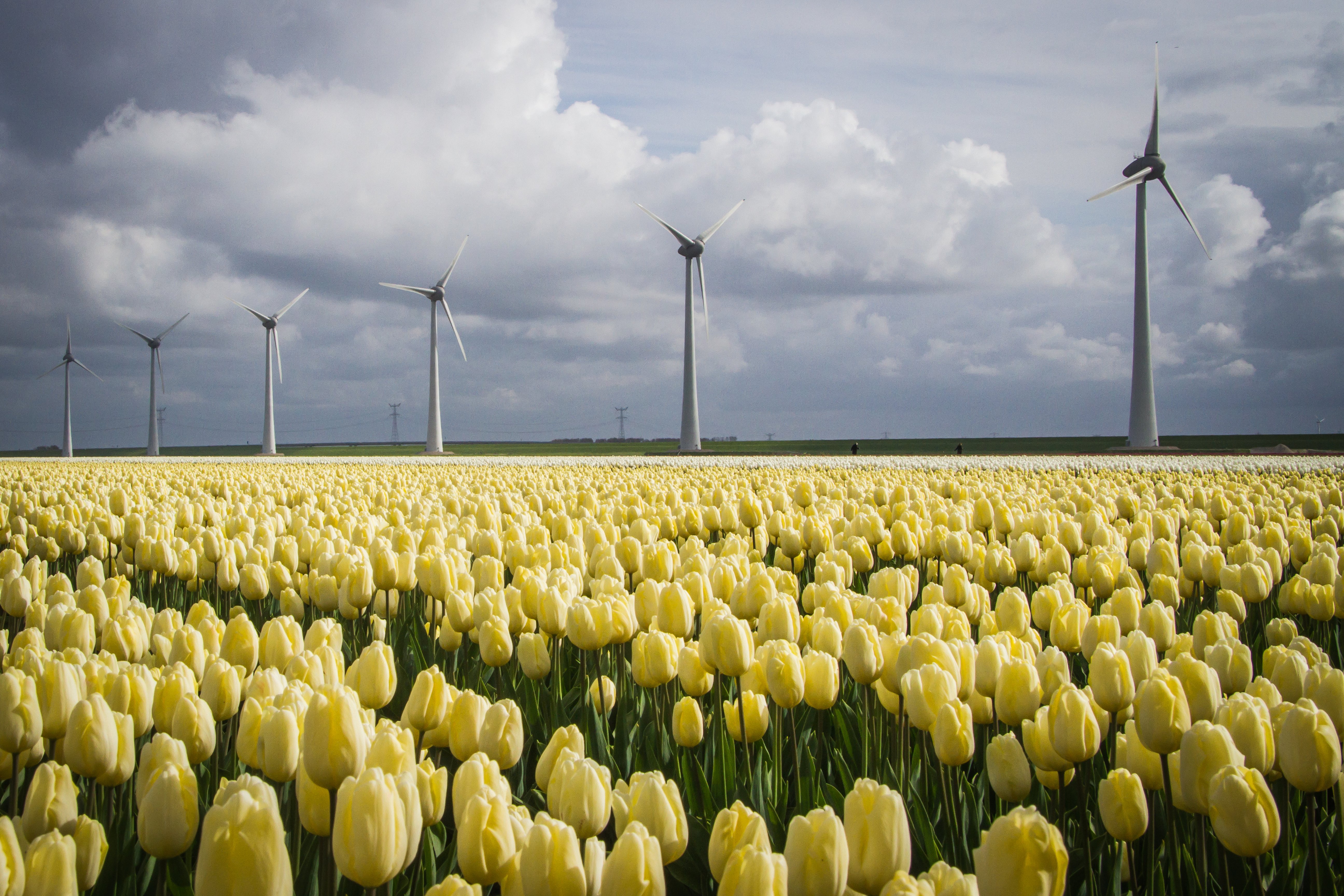 repeat-repeat-repeat