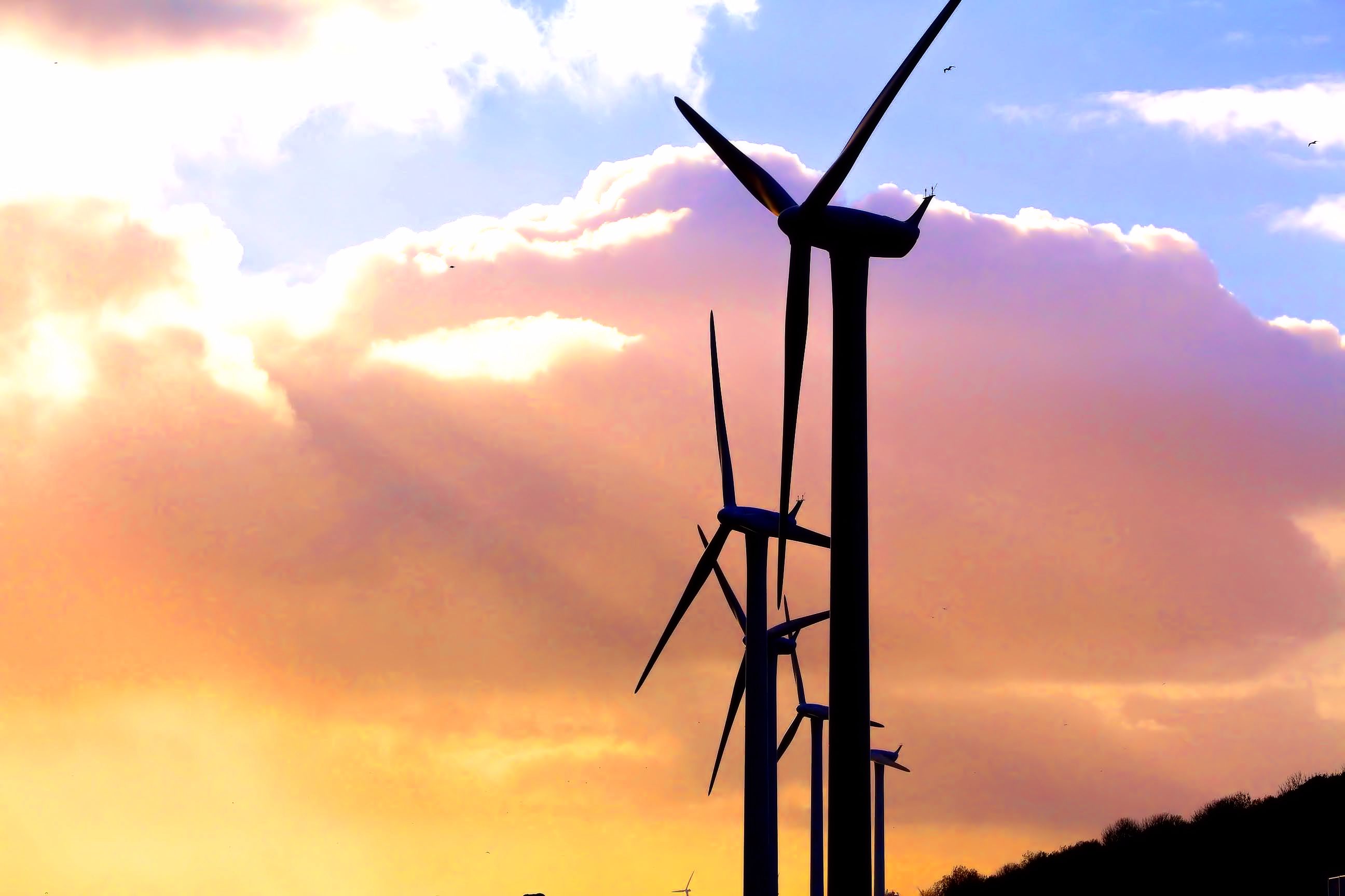 windmils-on-your-mind