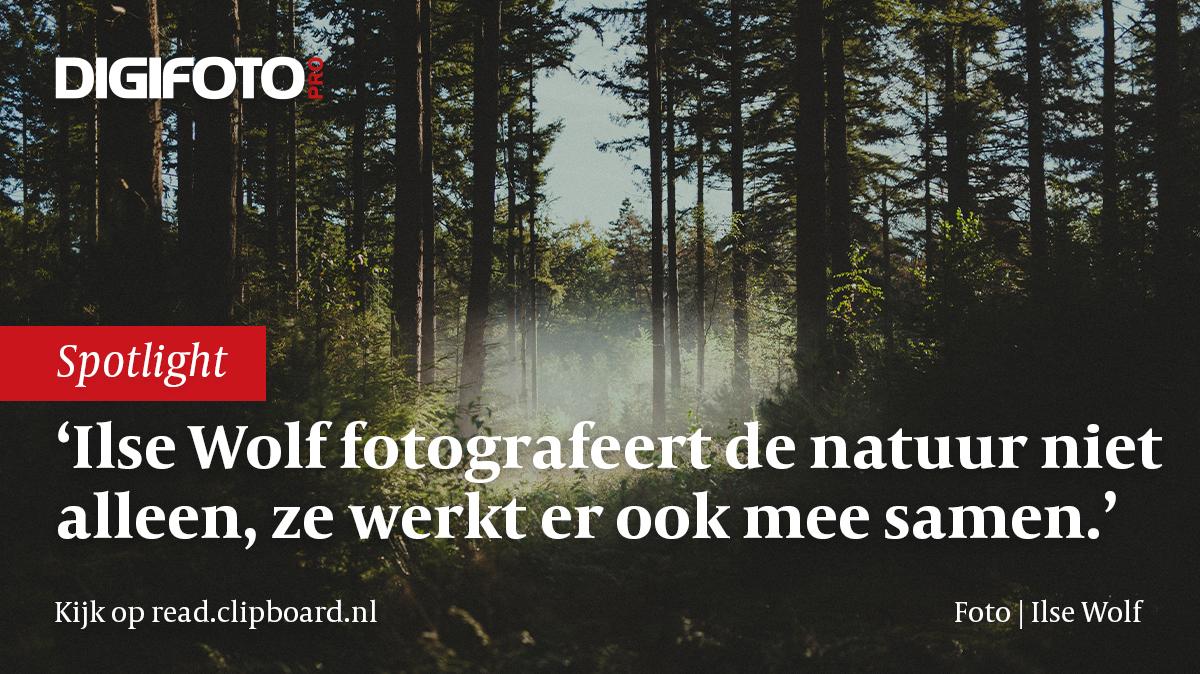 in-de-spotlight-ilse-wolf