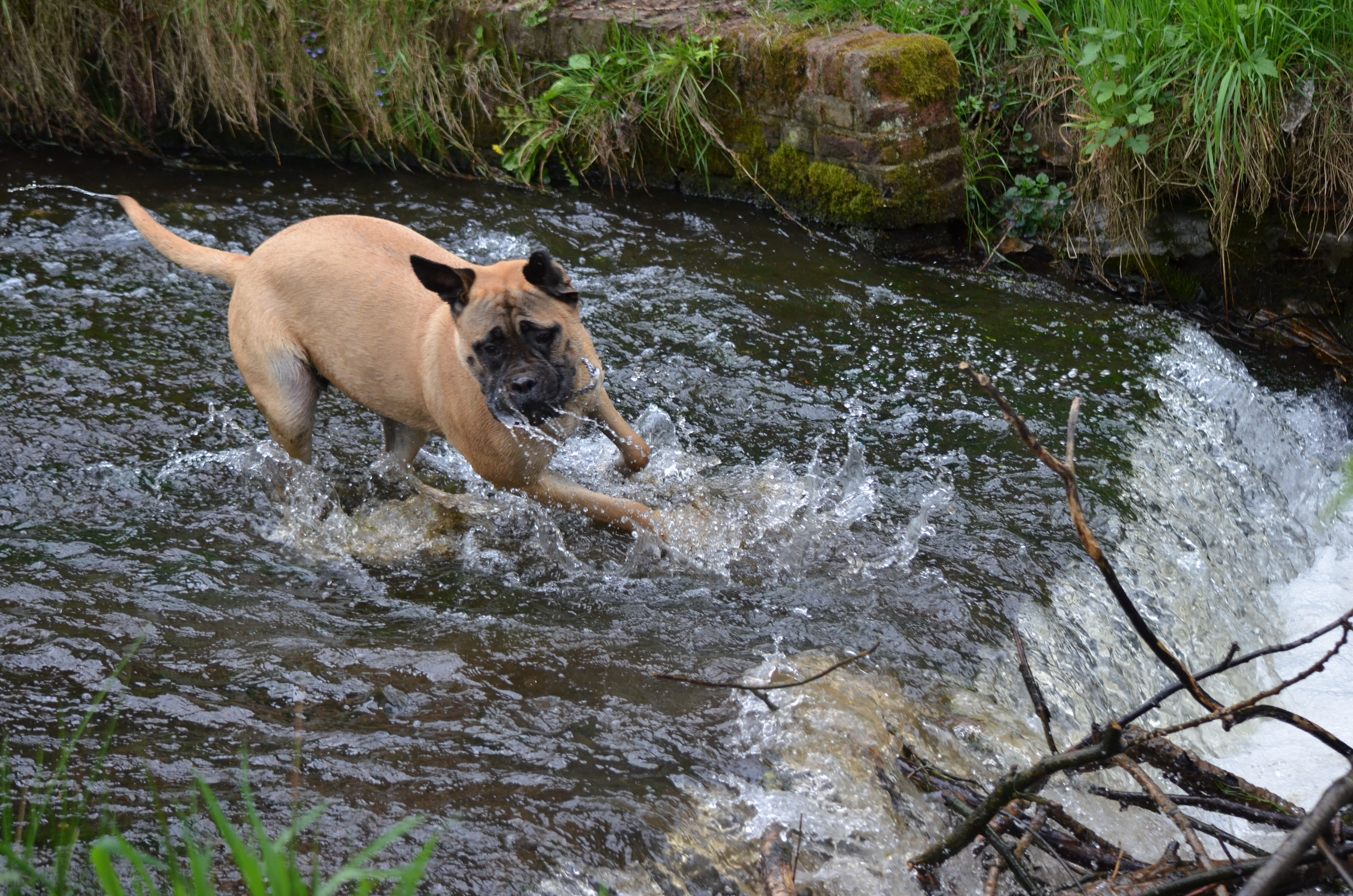 spelen-in-het-water