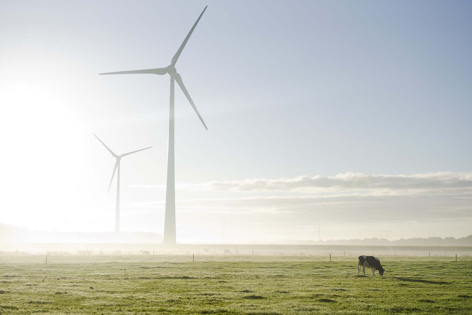natuurlijk-natuurlijk