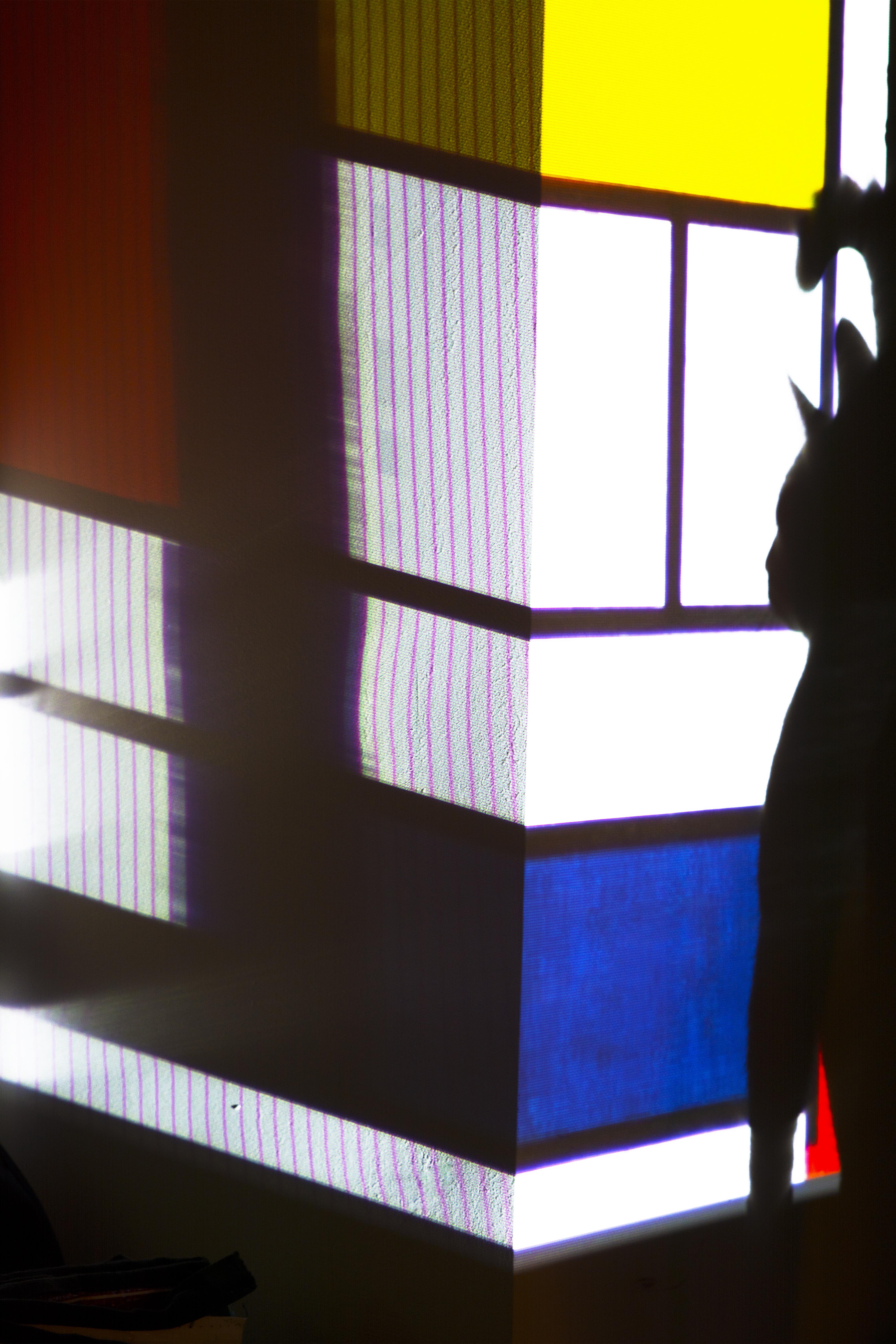 compositie-met-geel-blauw-en-kat