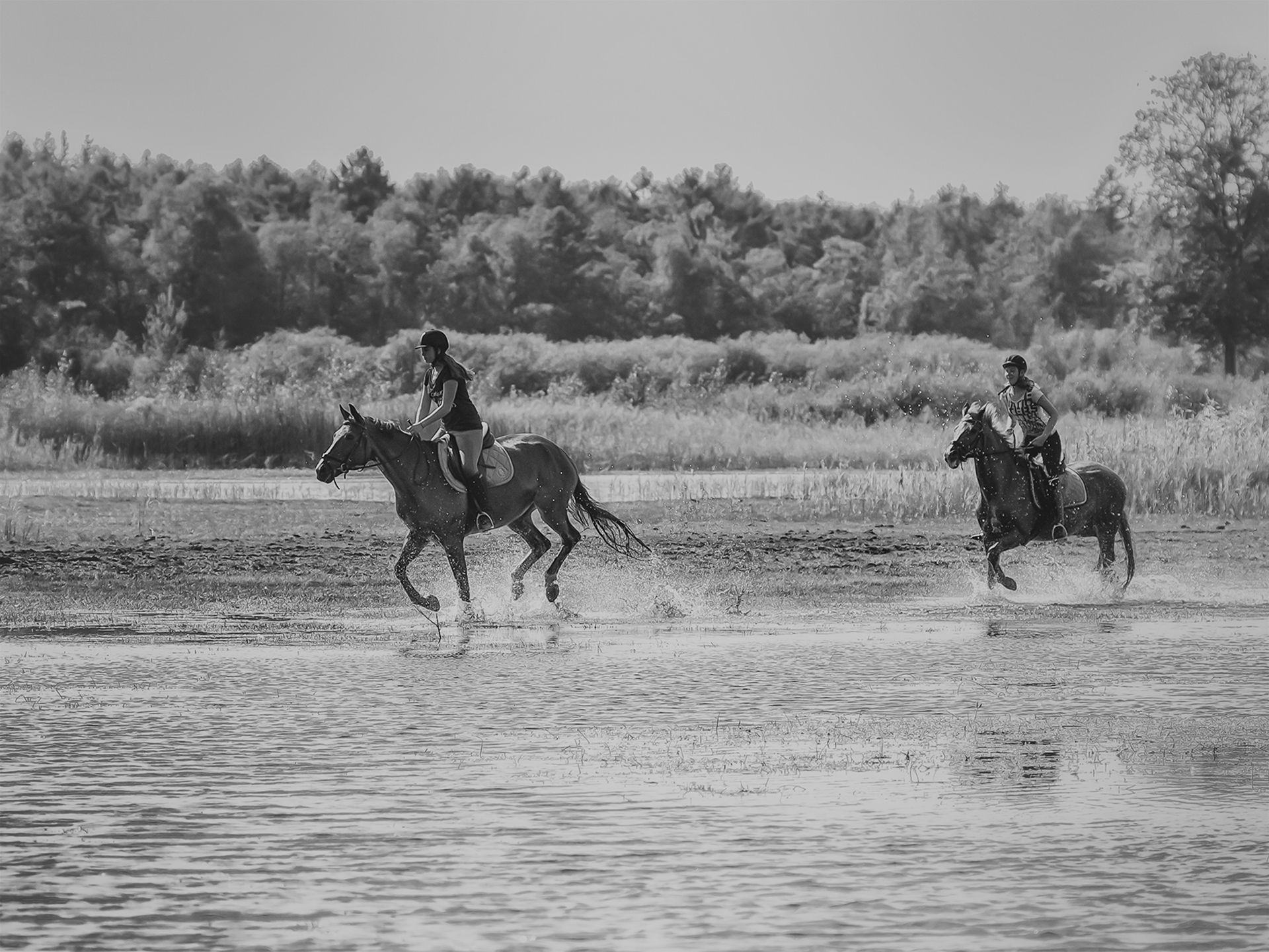 met-de-paarden-door-het-water