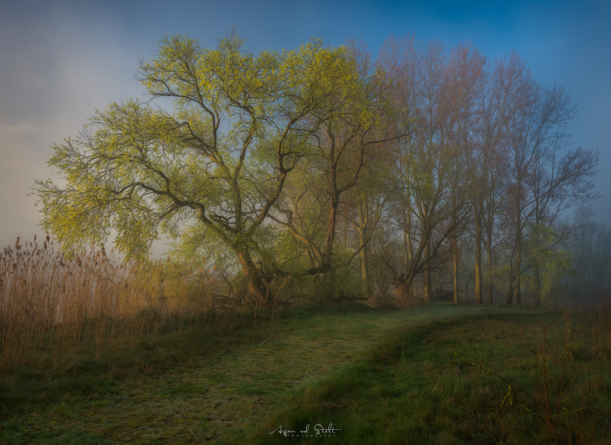 sunrise-the-biesbosch