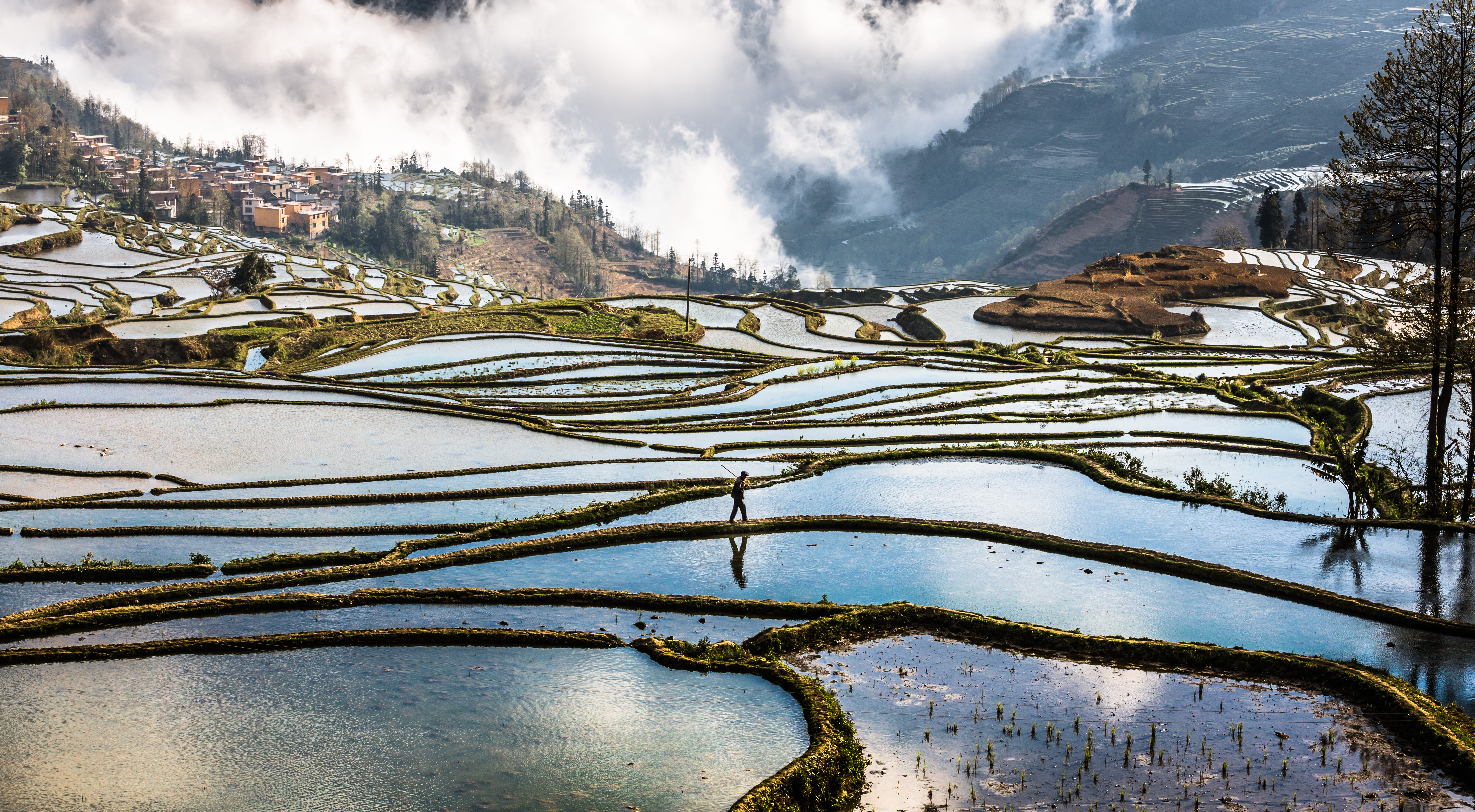 rijstterrassen-in-yuanyang