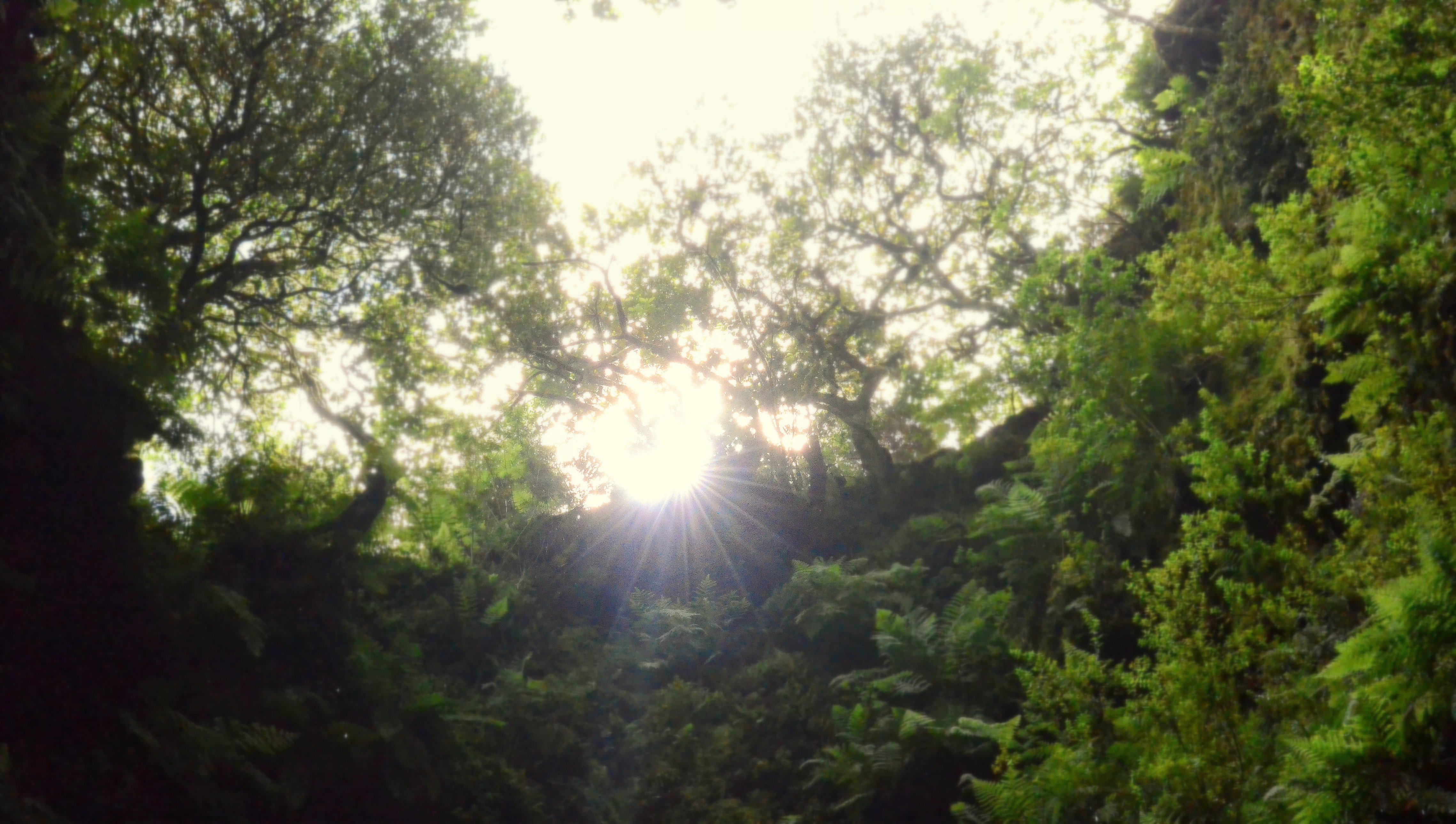 zon-in-oude-vulkaankrater-0