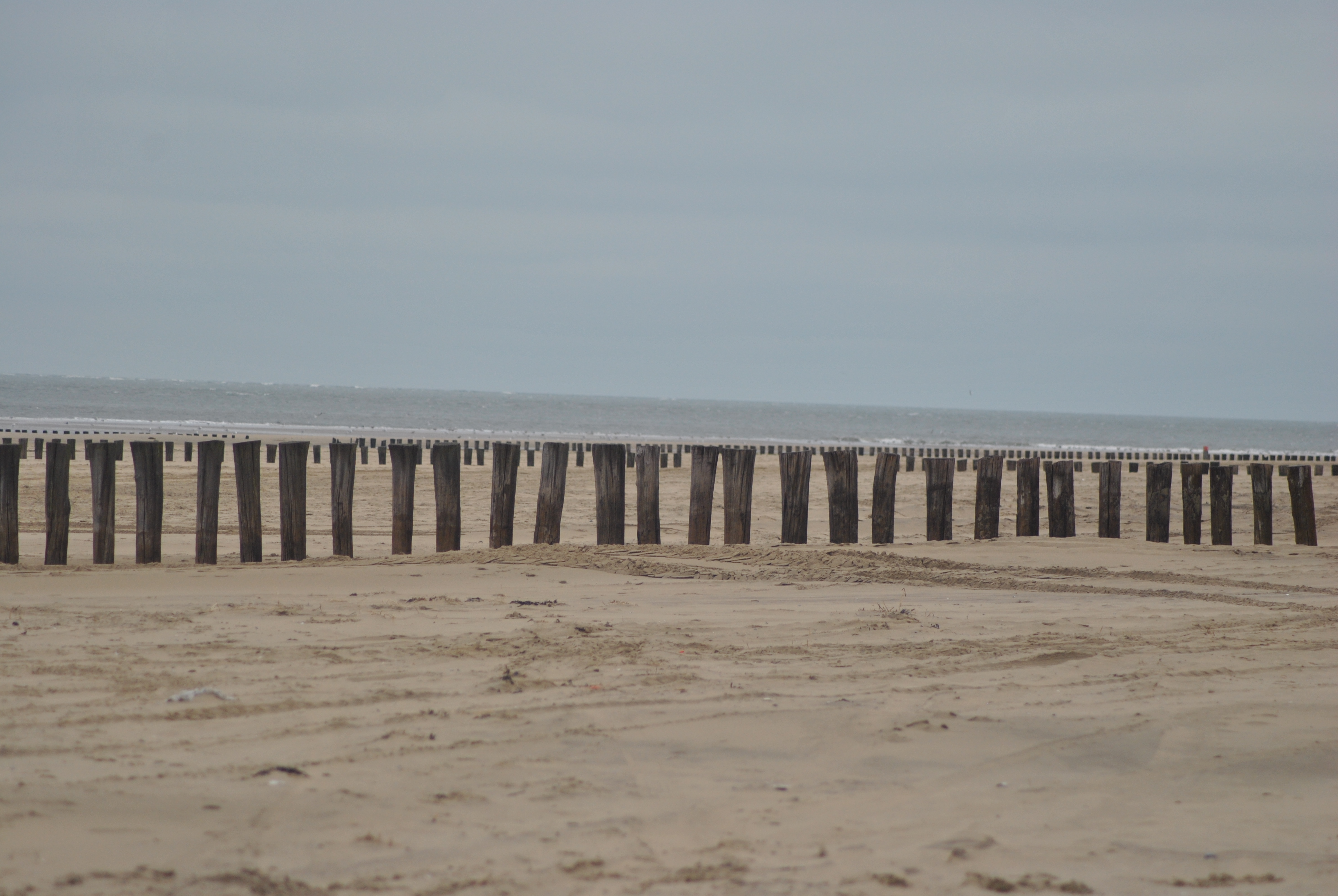 strand-hollum-ameland
