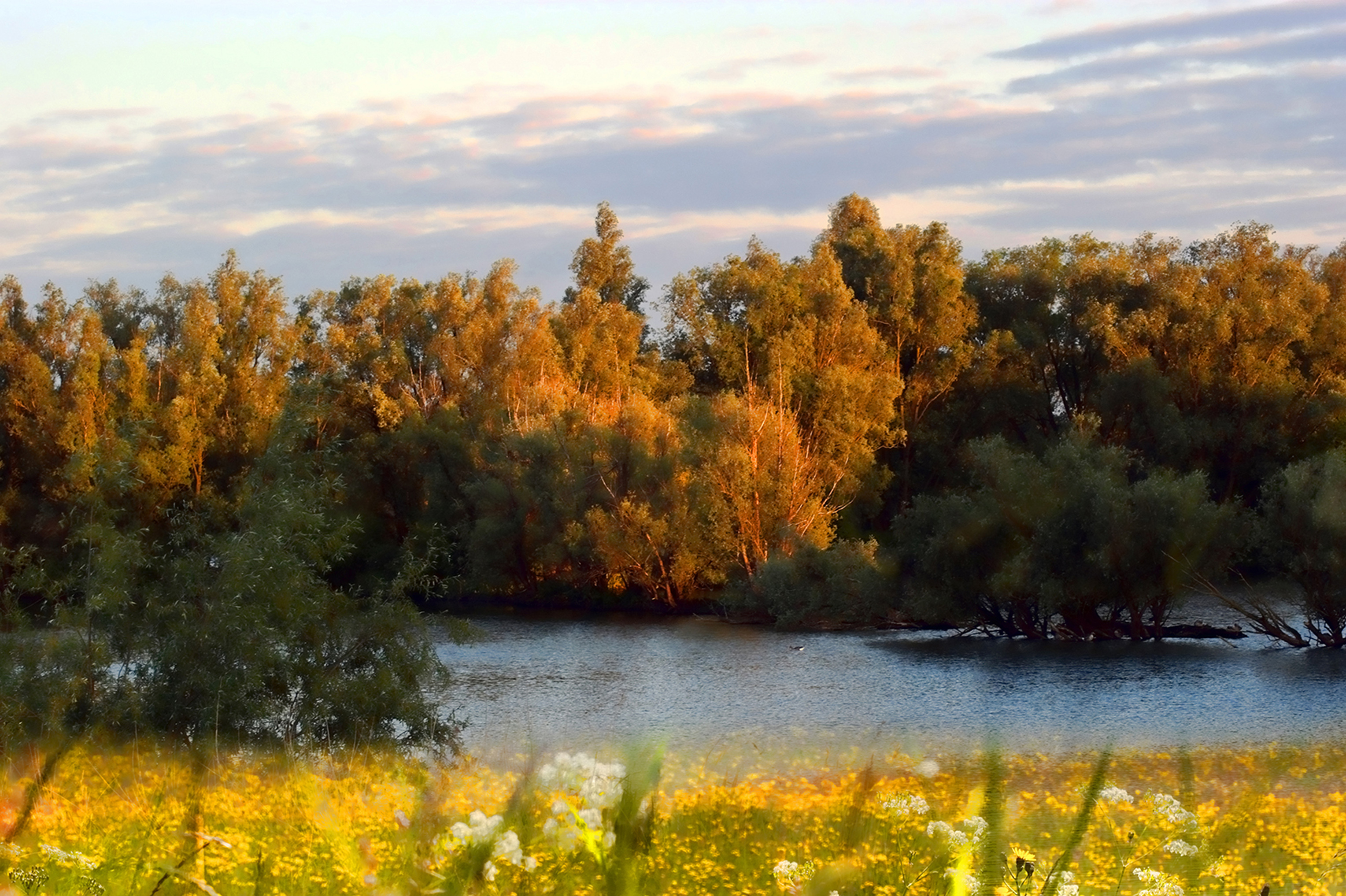 het-ooij-gelderland-0
