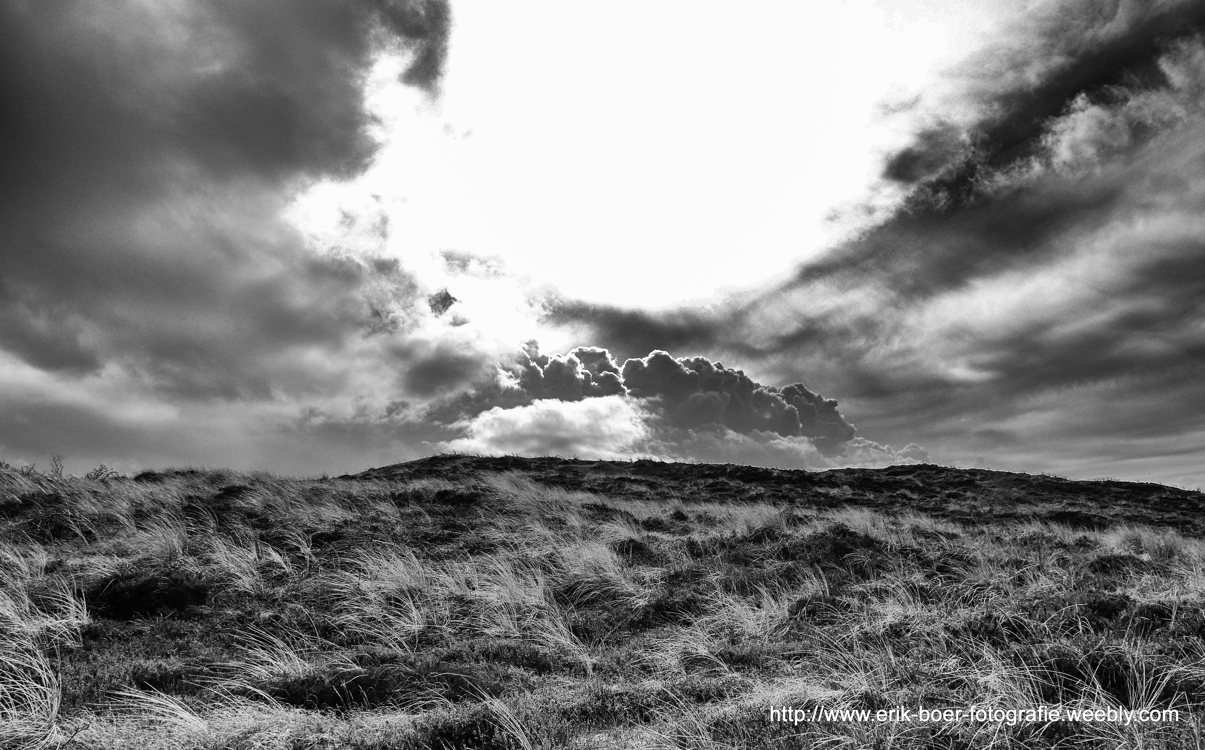 dunes-by-bergen-aan-zee