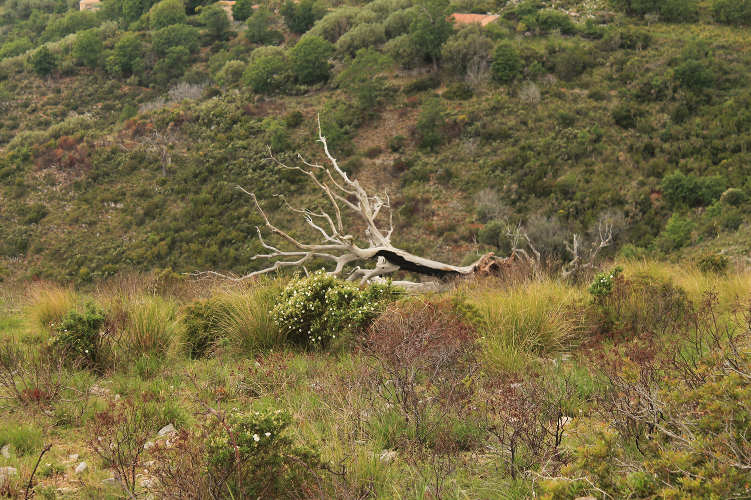 in-the-middle-of-nowhere