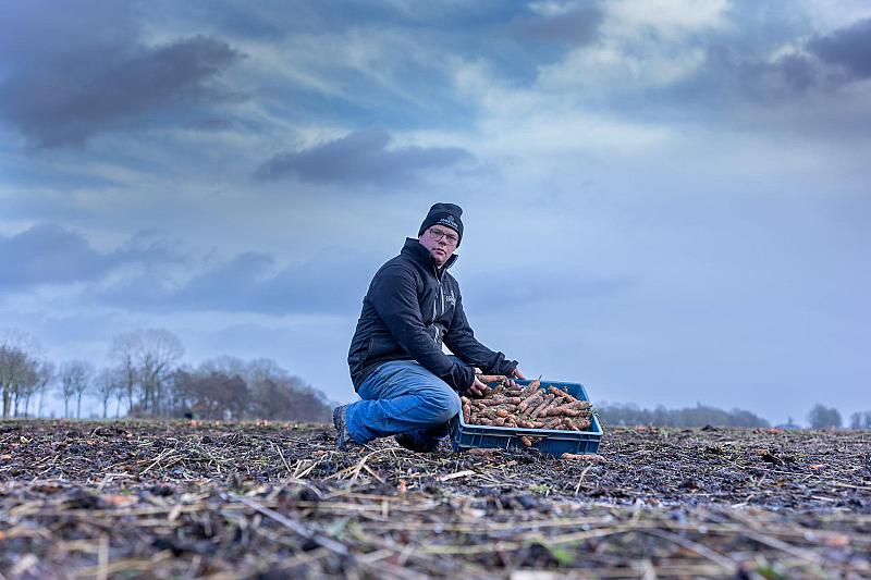 bijna-een-miljoen-kilo-groente-dreigt-verspild-te-worden