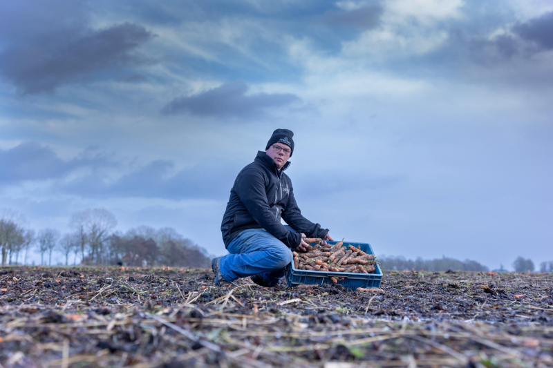 bijna-een-miljoen-kilo-groente-dreigt-verspild-te-worden
