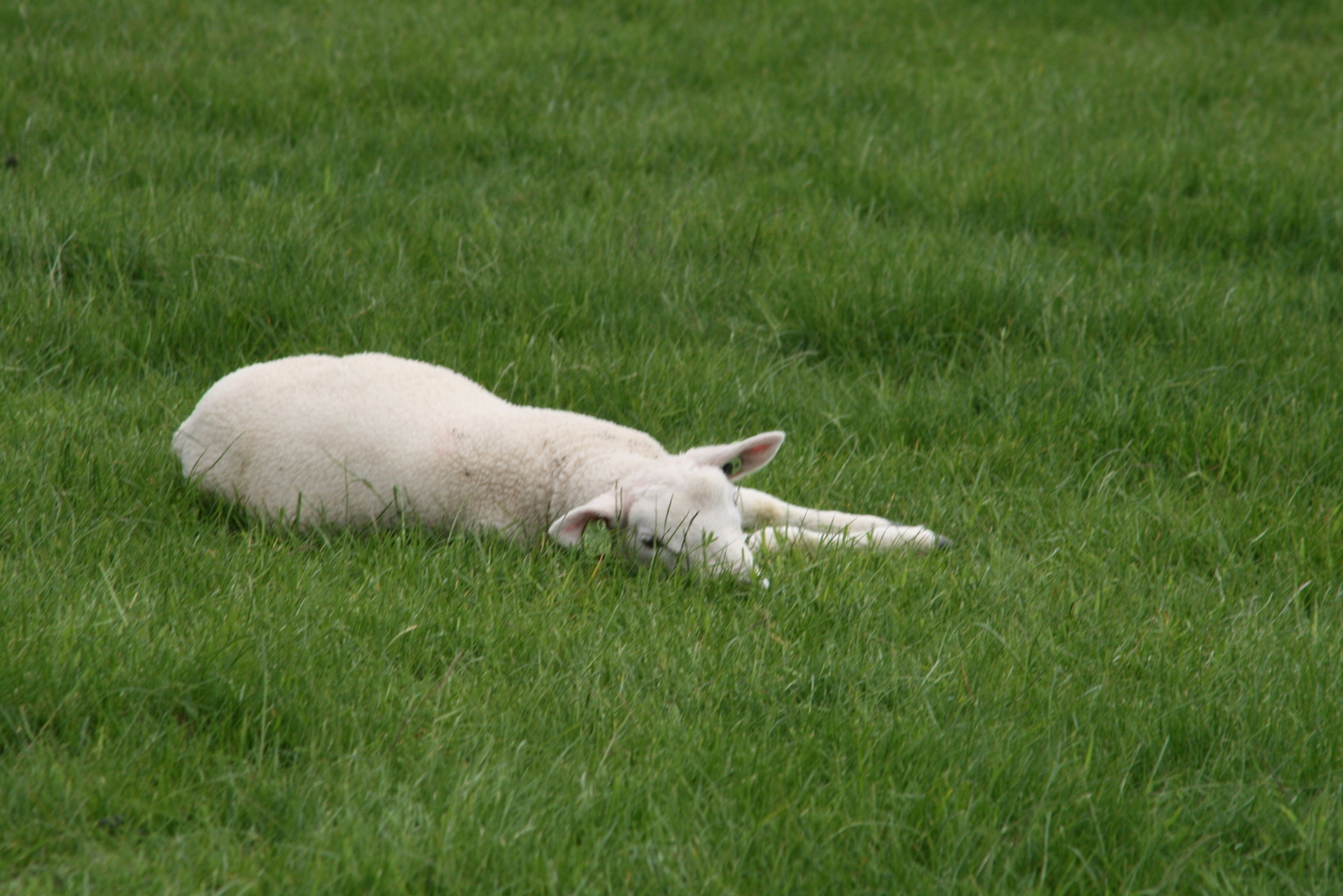 even-lekker-uitrusten