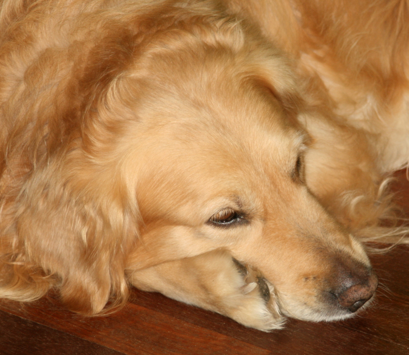 ik-word-z%C3%B3-moe-van-die-camera