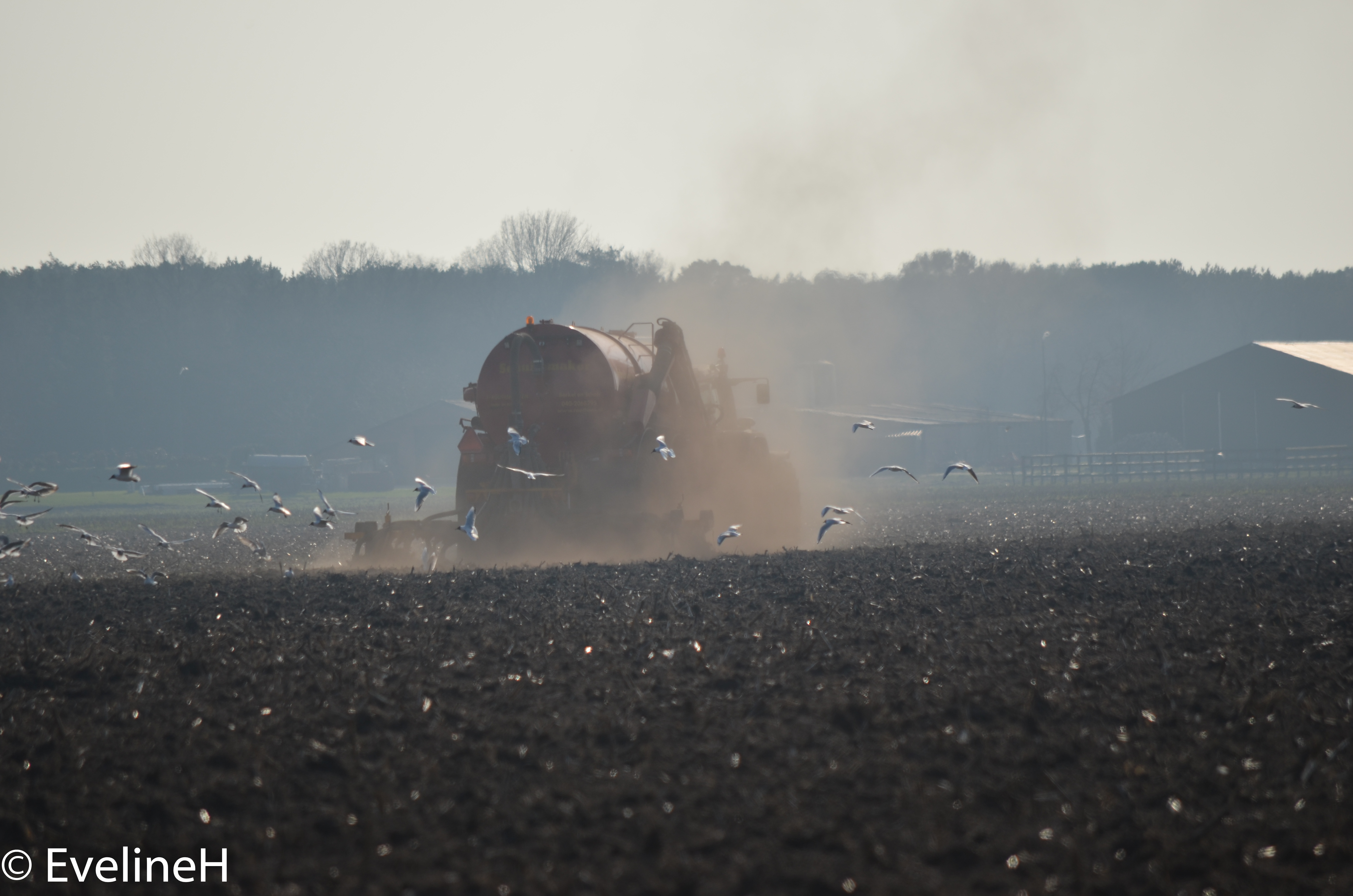 het-is-weer-tijd-voor-bemesting