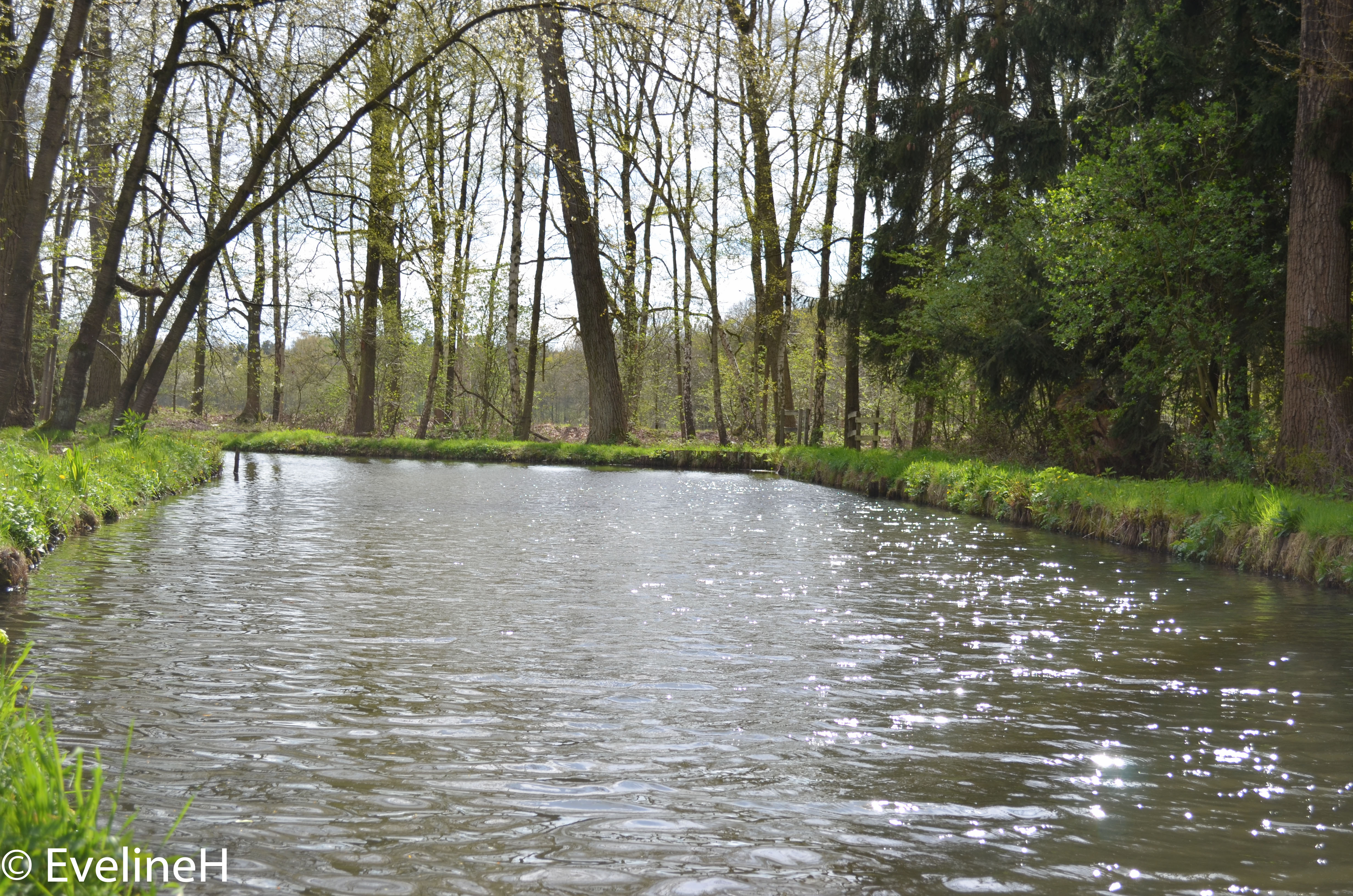 het-schut-in-de-lente