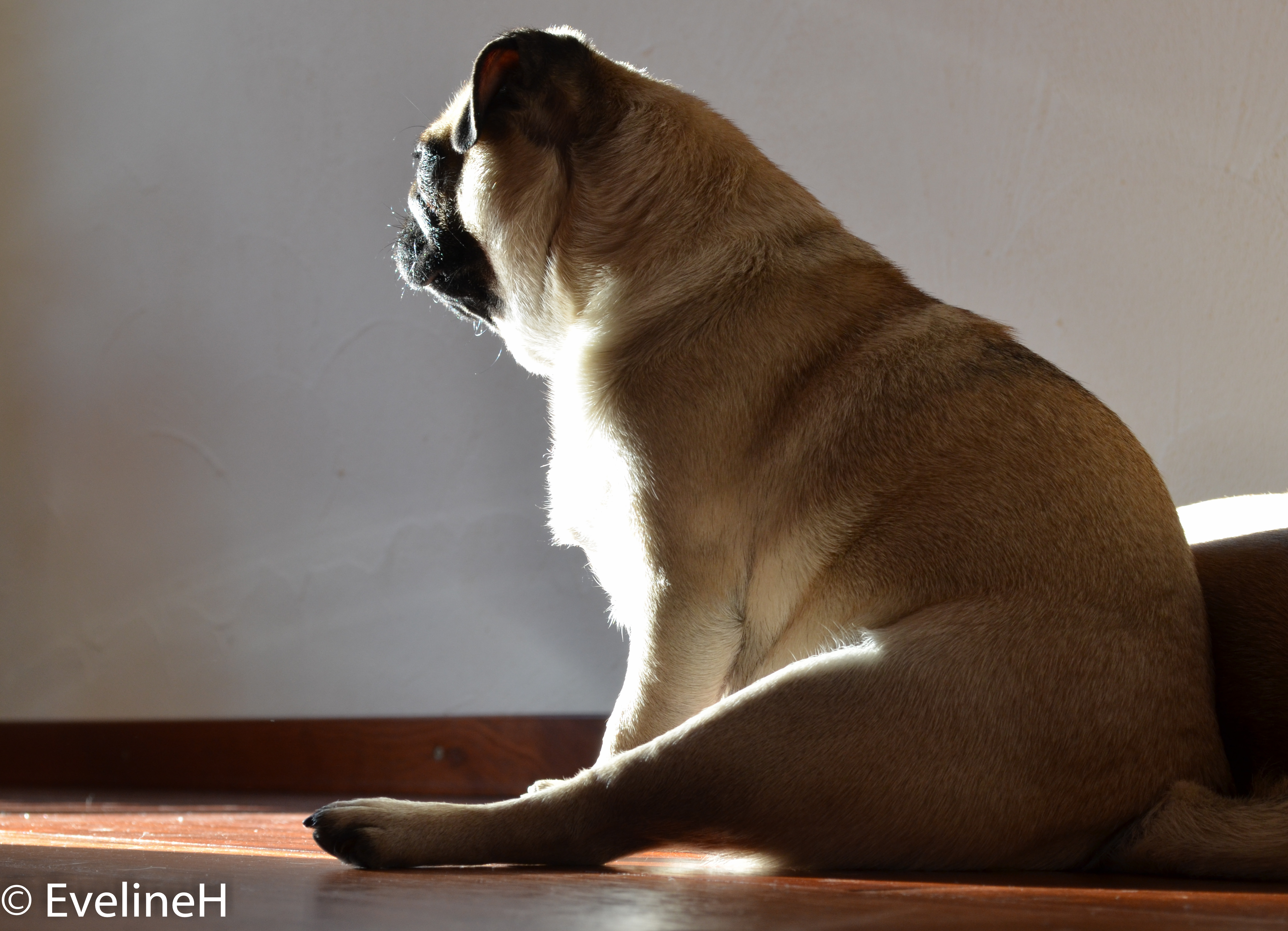 mmm-lekker-in-het-zonnetje