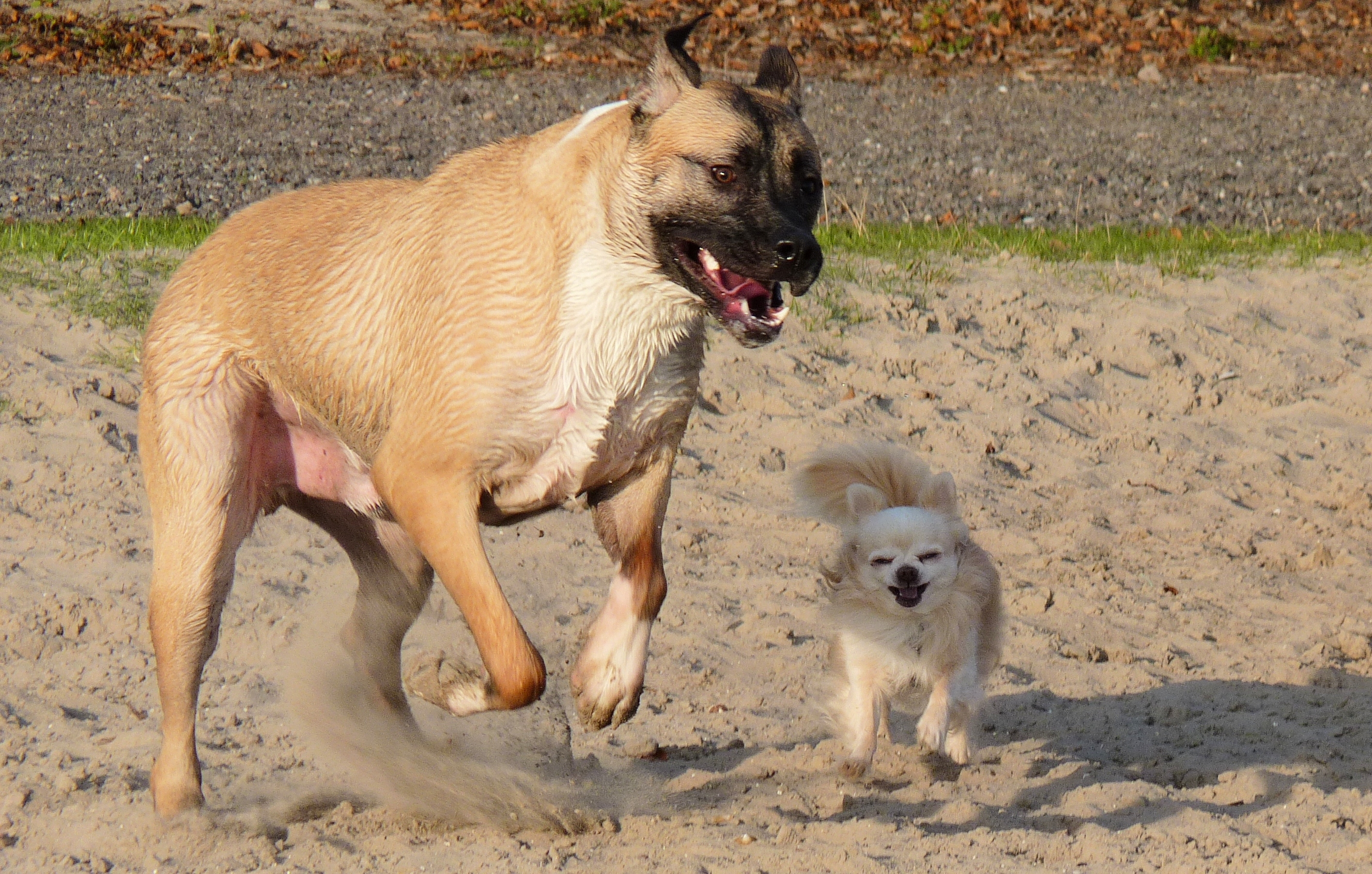 lijkt-veel-gevaarlijker-dan-het-was