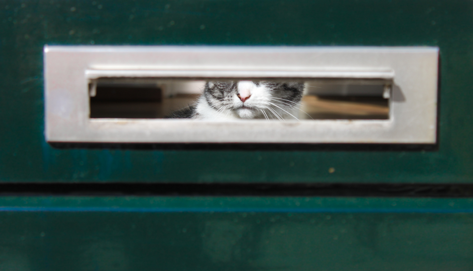 ik-waak-voor-mijn-baas