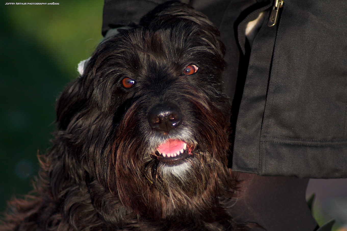 genieten-van-aandacht-0