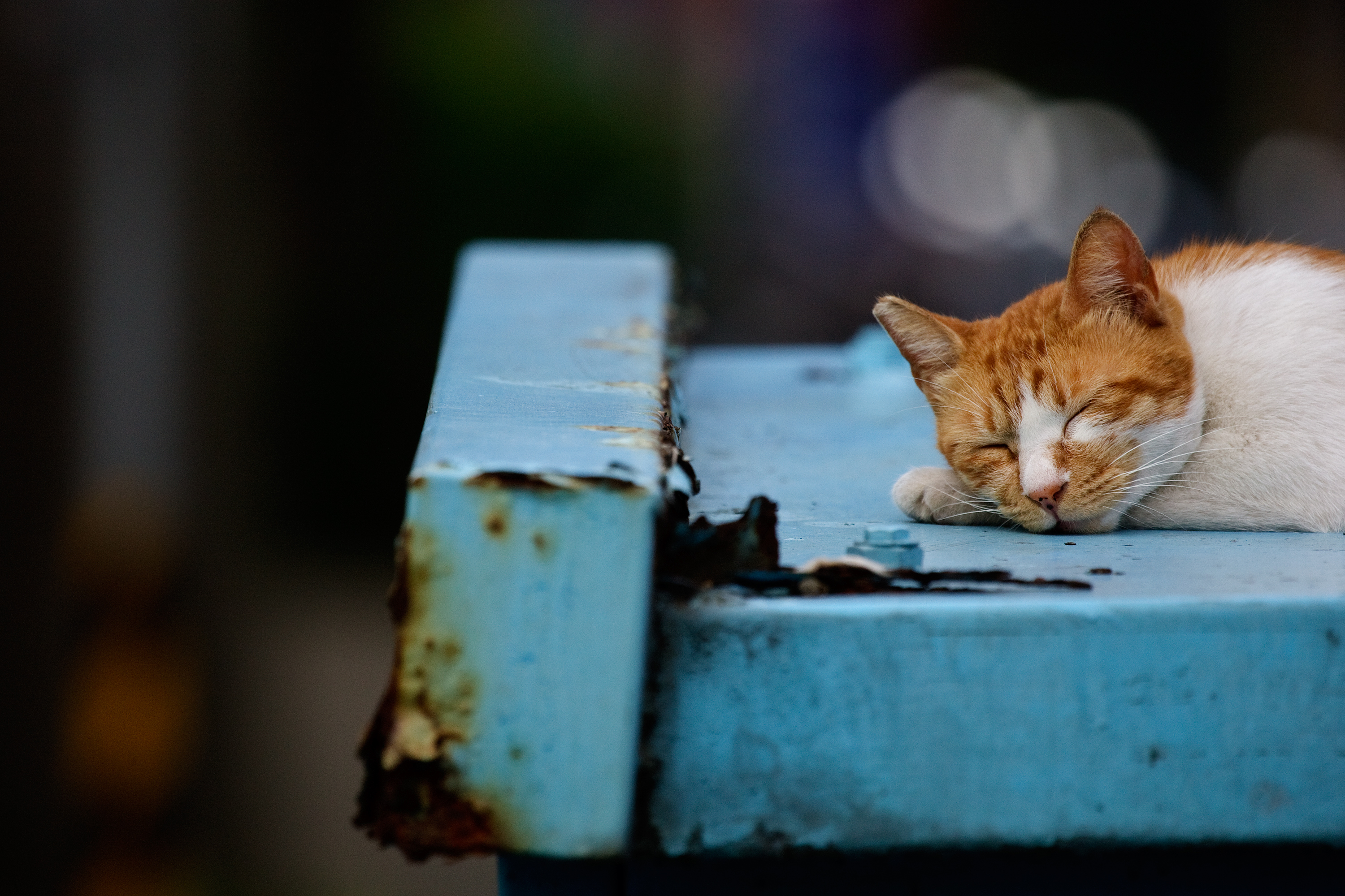 genieten-van-de-drukke-stad