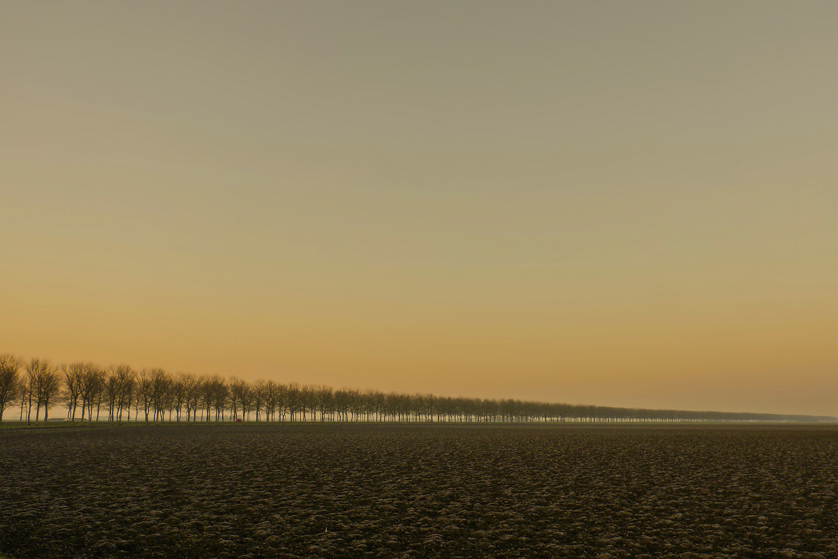 herhaling-in-de-flevopolder