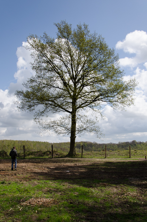 kijk-omhoog-kleine-jongen