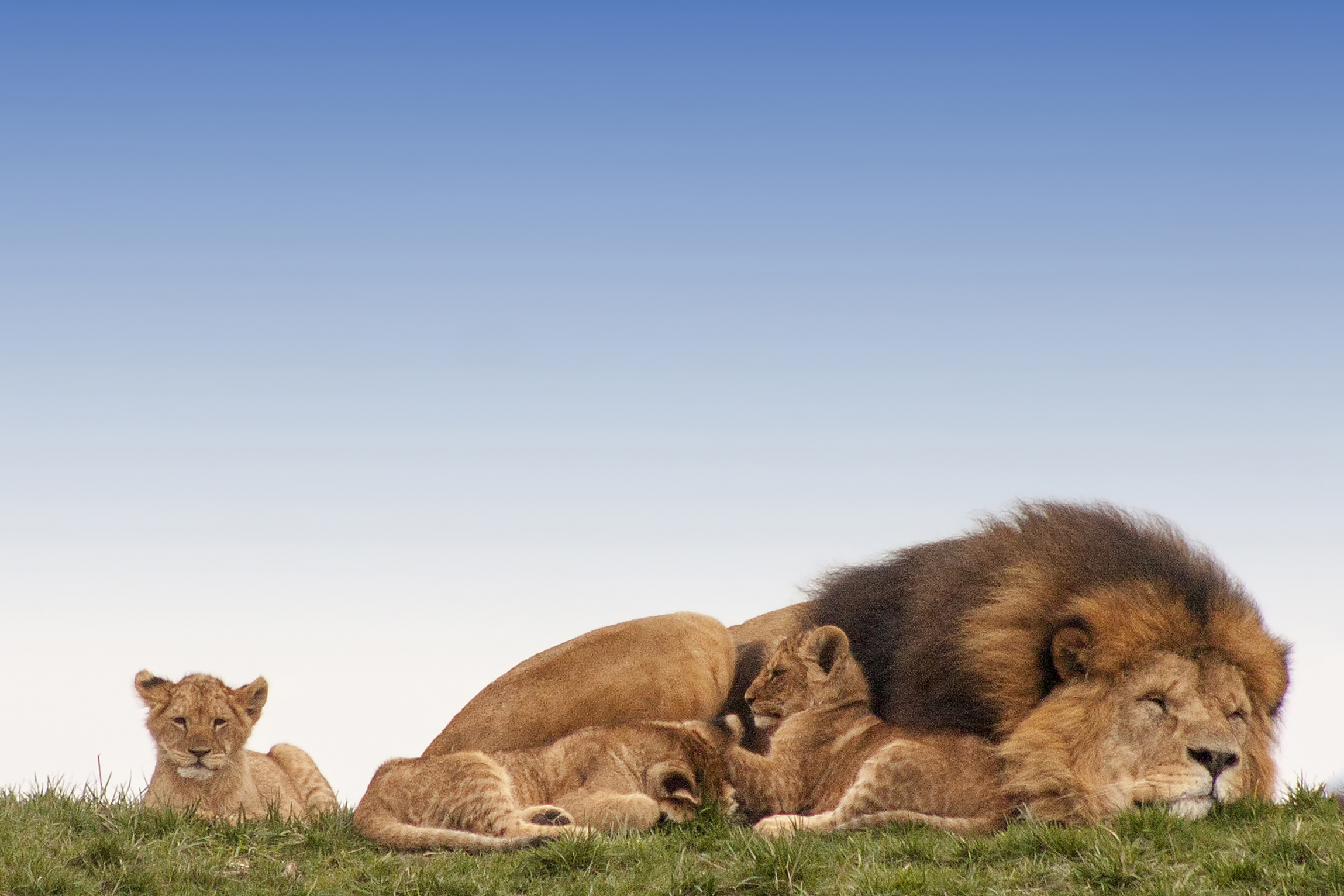 middagdutje-met-pappa