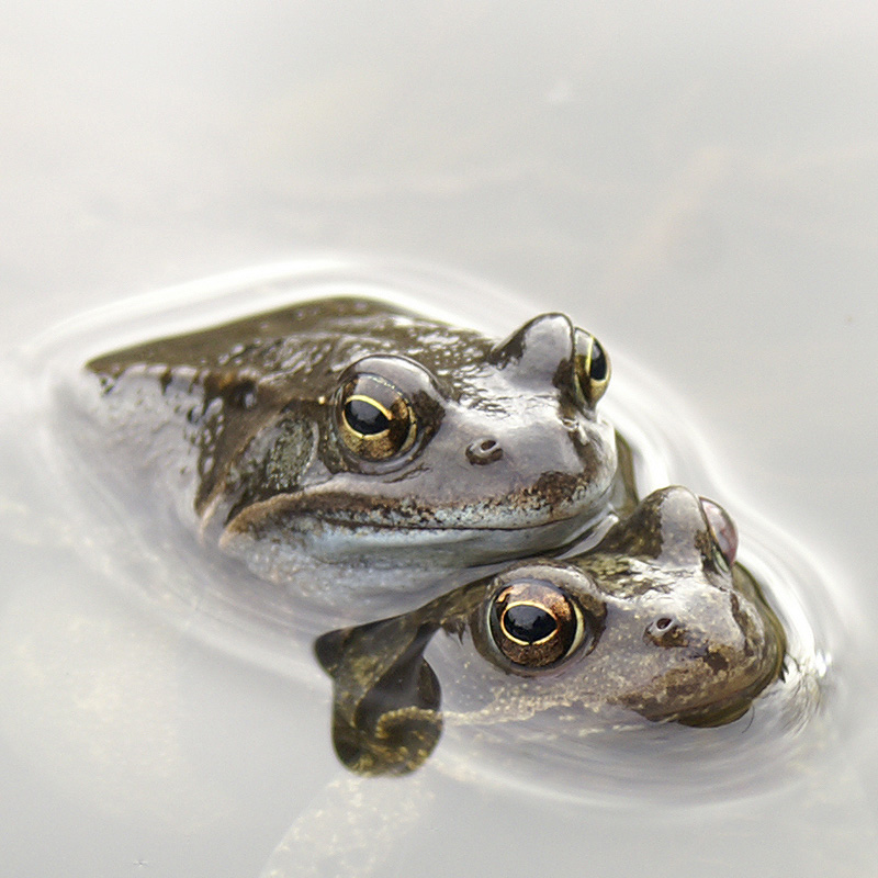 love-is-in-the-air-10