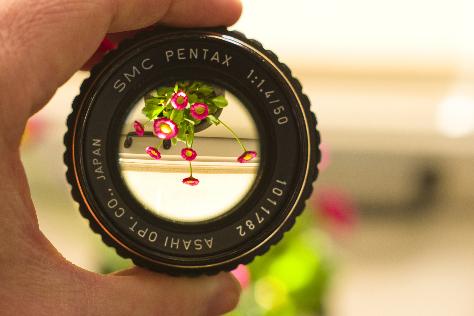 pentax-m-50mm