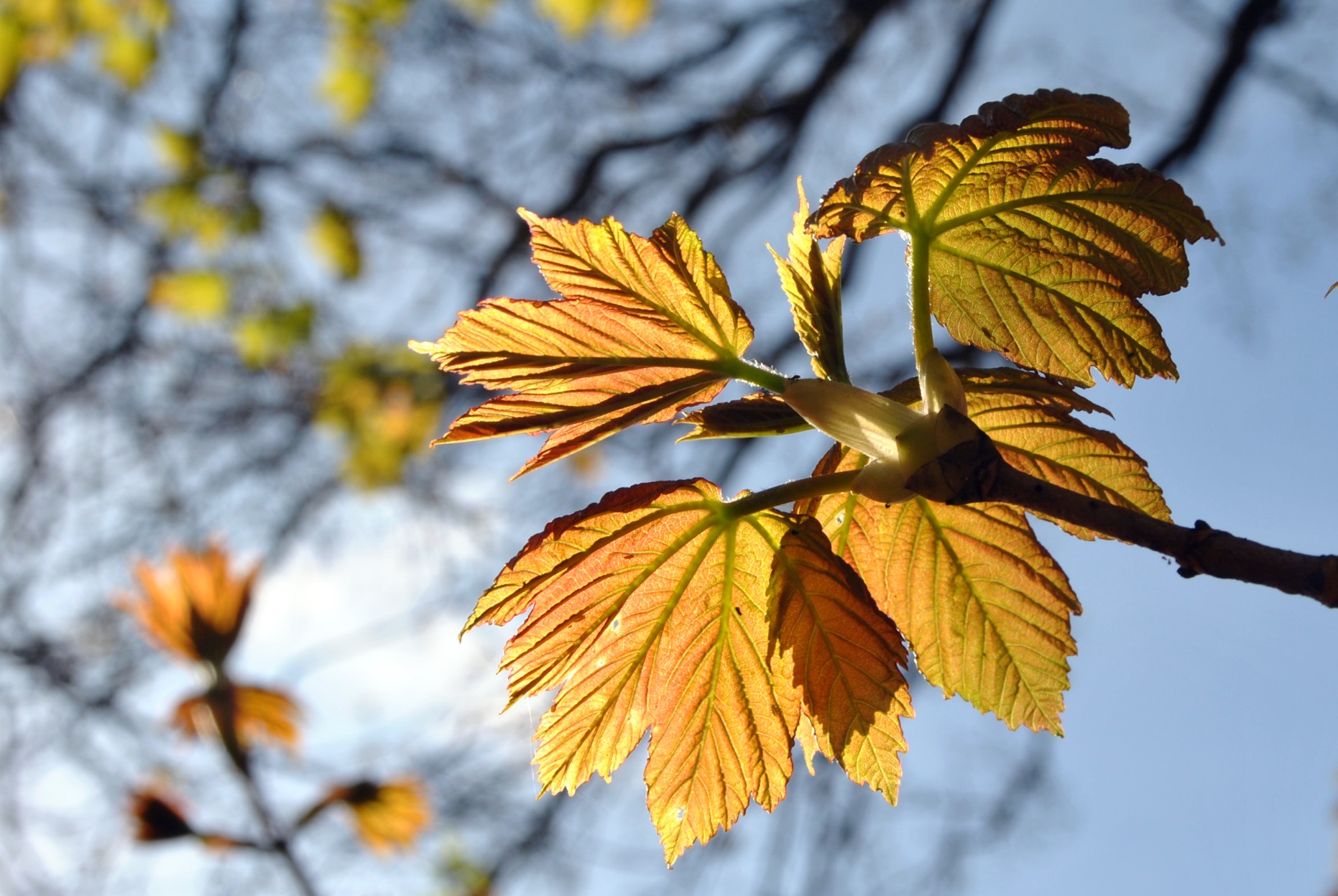 spring-is-in-the-air-9