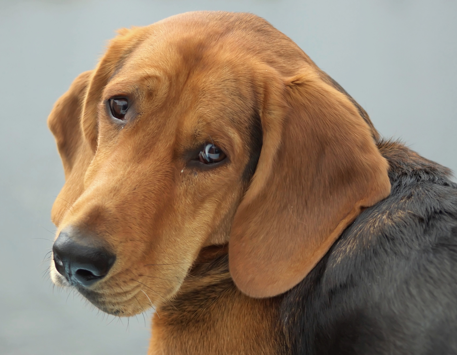 ik-kijk-altijd-zo-hoor