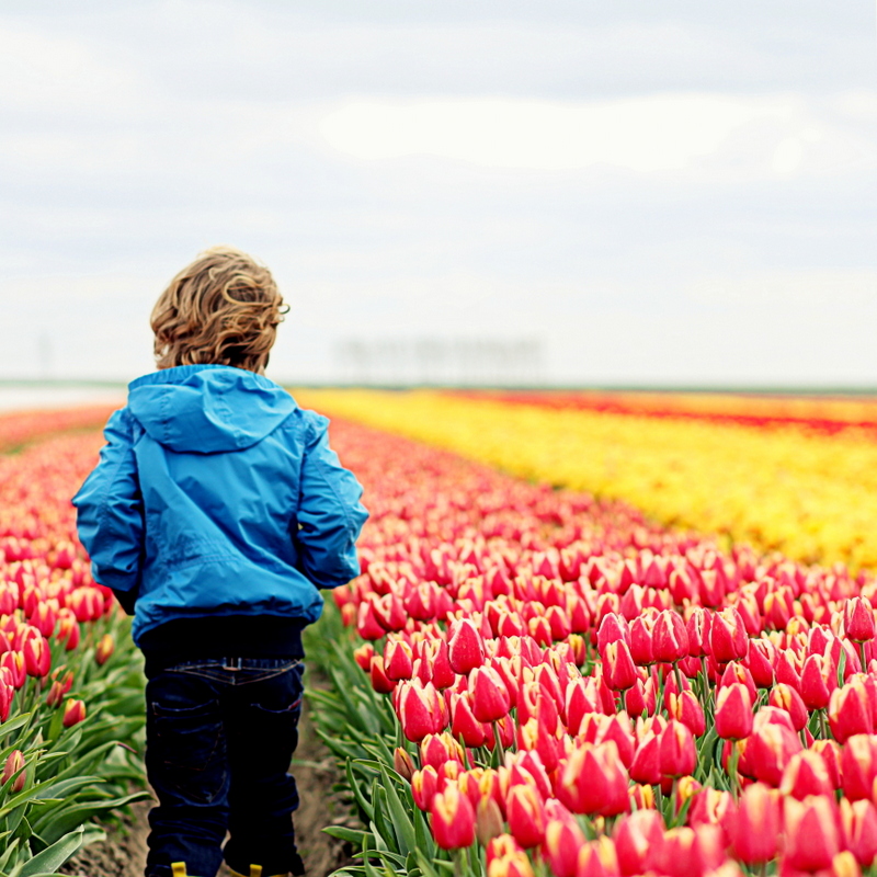 kleurrijke-wandeling