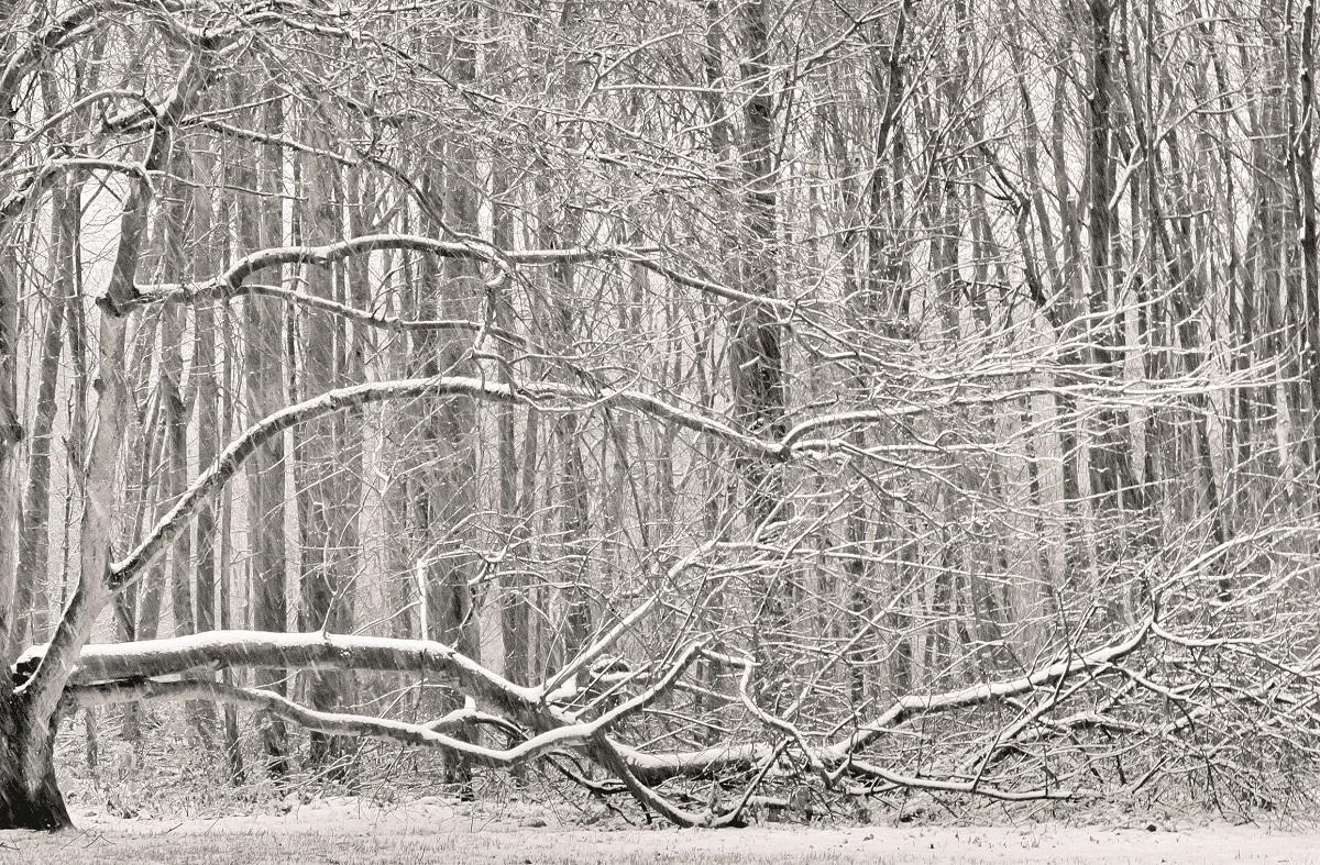 leren-met-wilmar-de-foto-van-liane-deprost