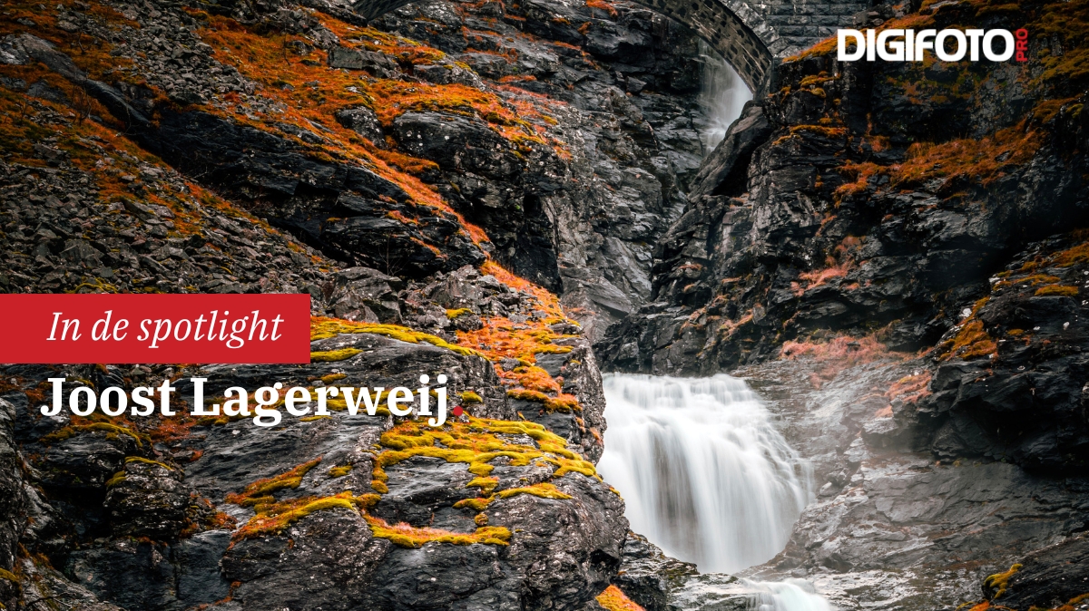 spotlight-van-de-week-5-digifoto-pro-gallery