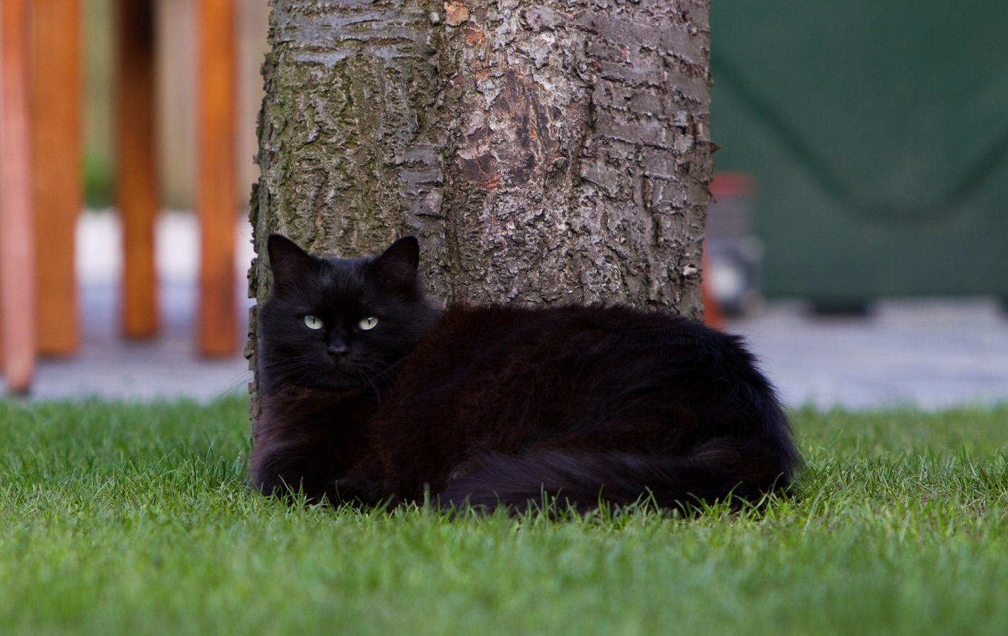 onze-chanel-in-rustpose