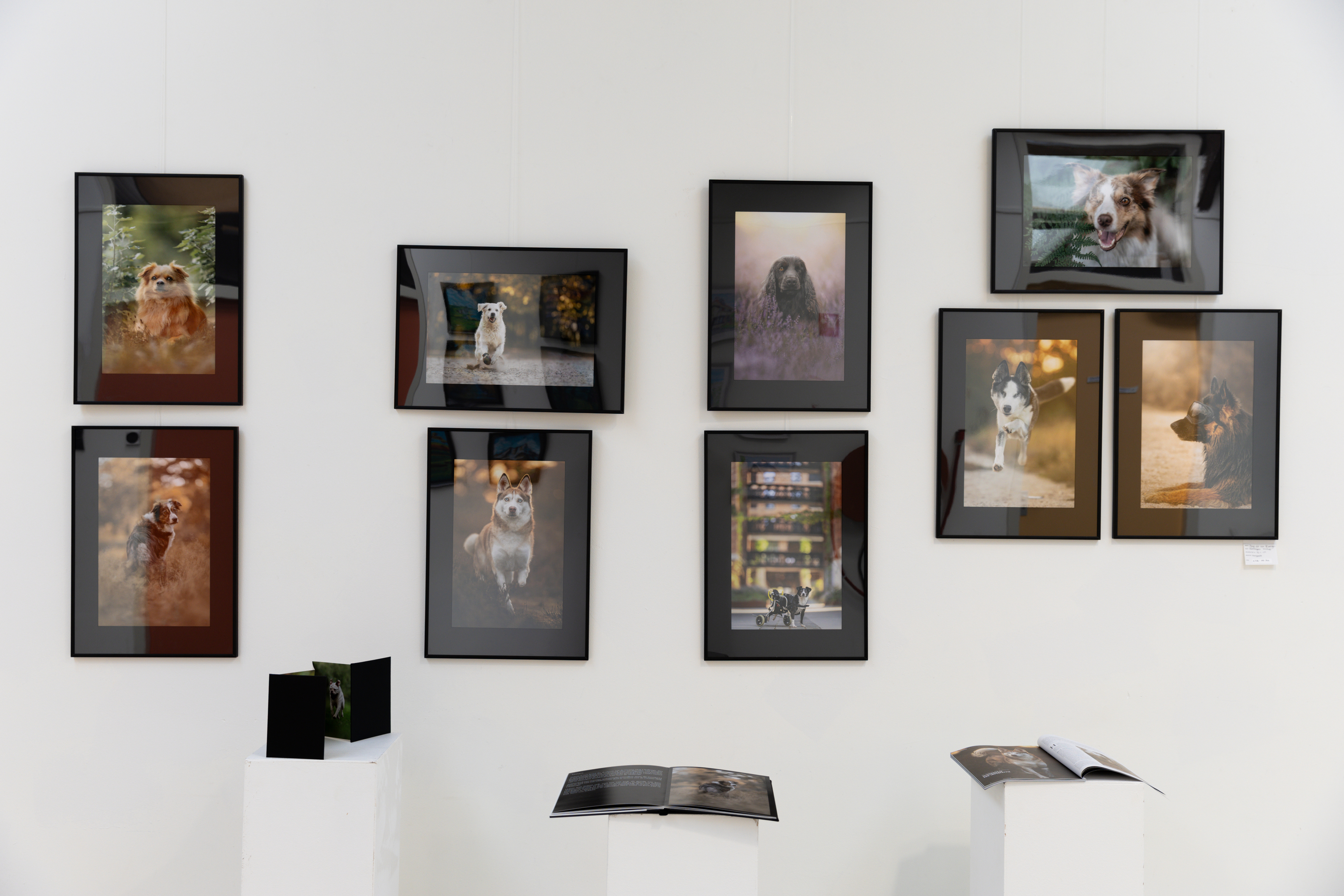 digifoto-pro-ambassadeur-yong-lei-van-barlingen-mijn-eerste-groeps-expositie