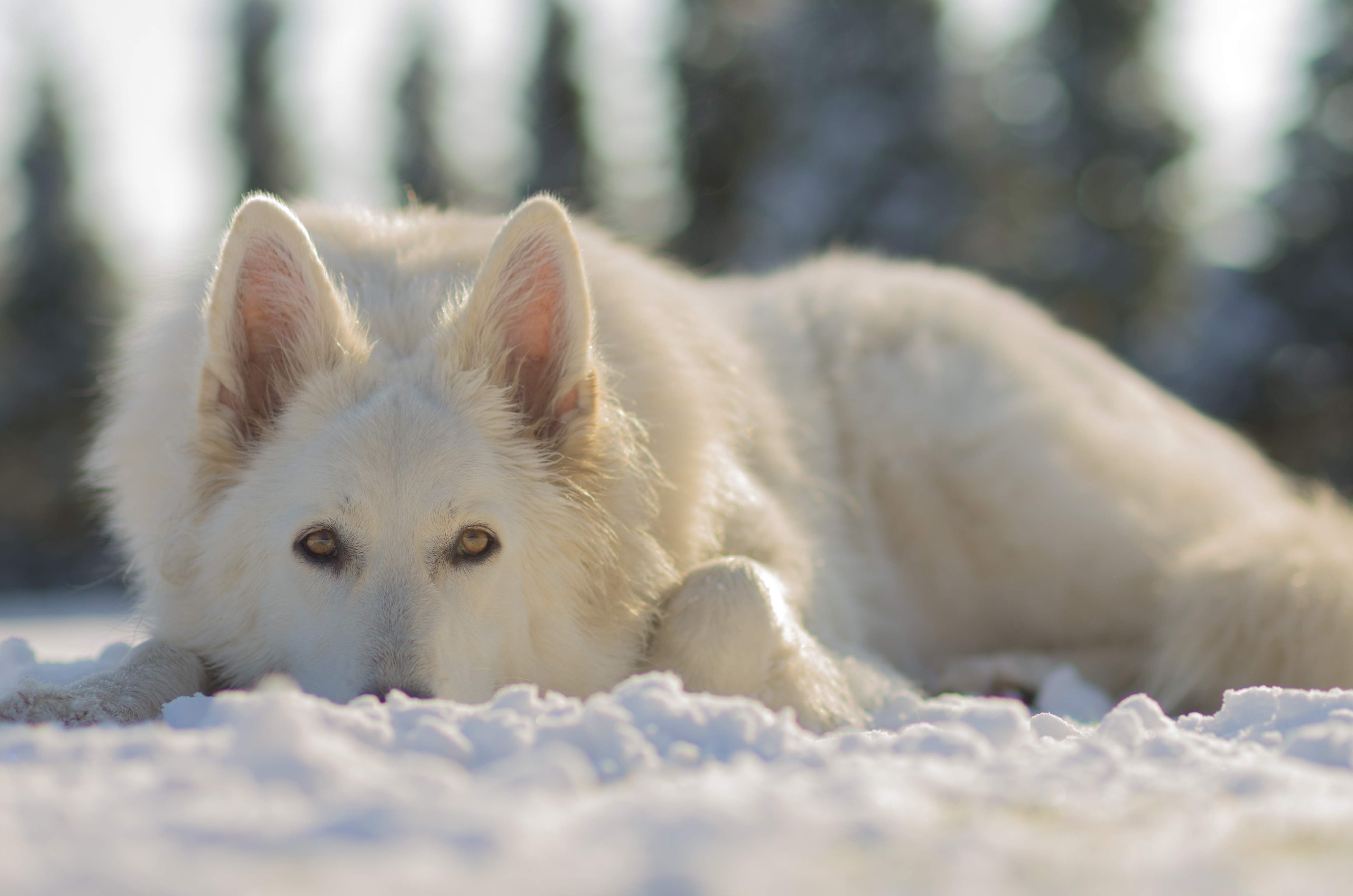 wat-heb-ik-fout-gedaan