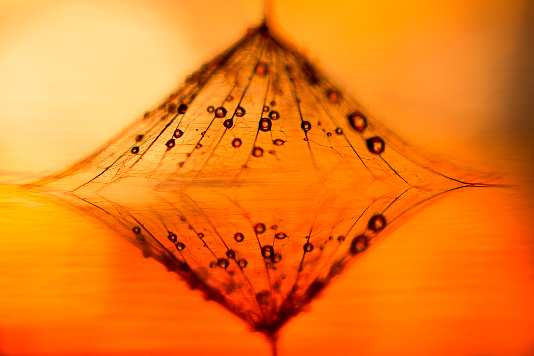 diamonds-are-forever