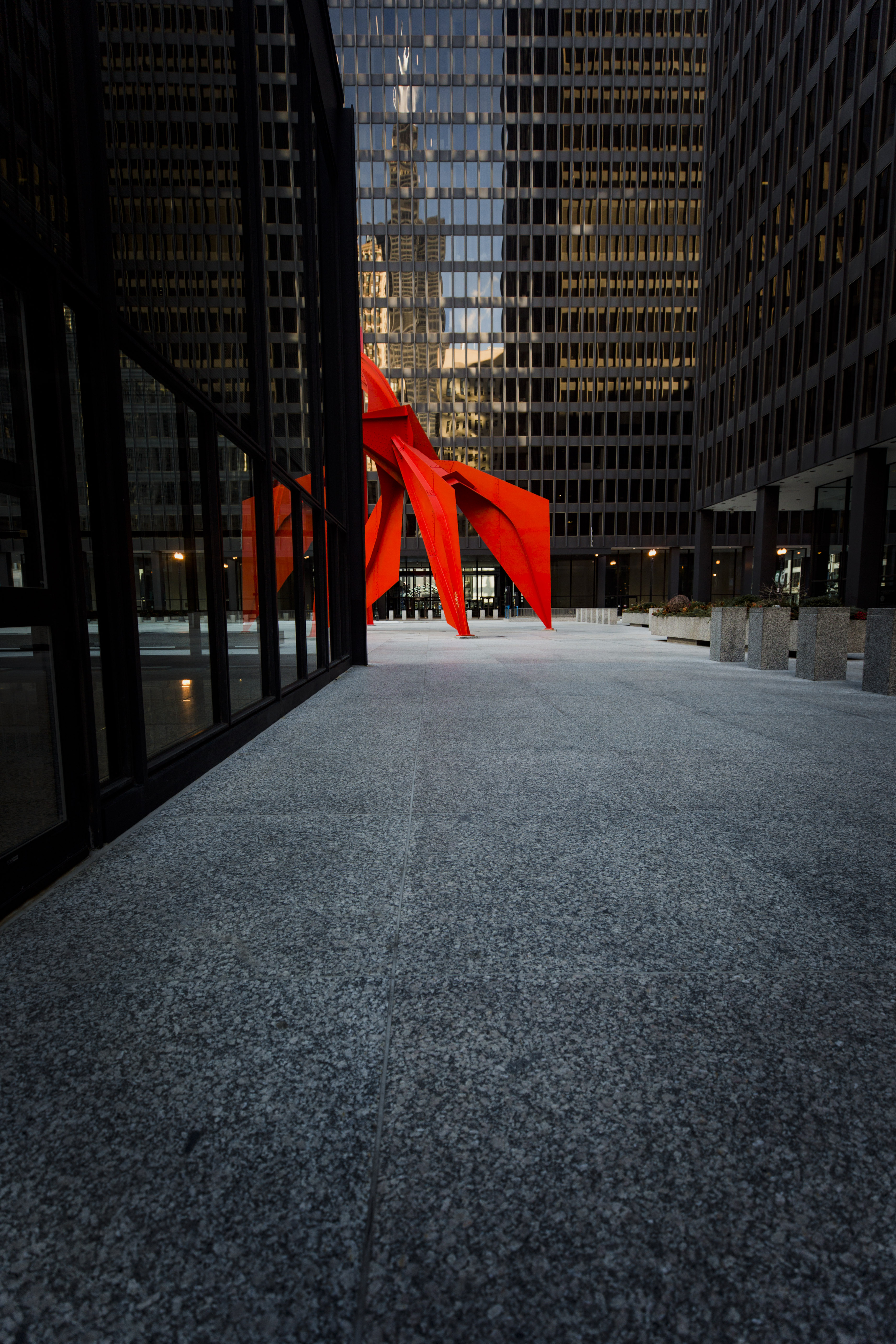 flamingo-framing