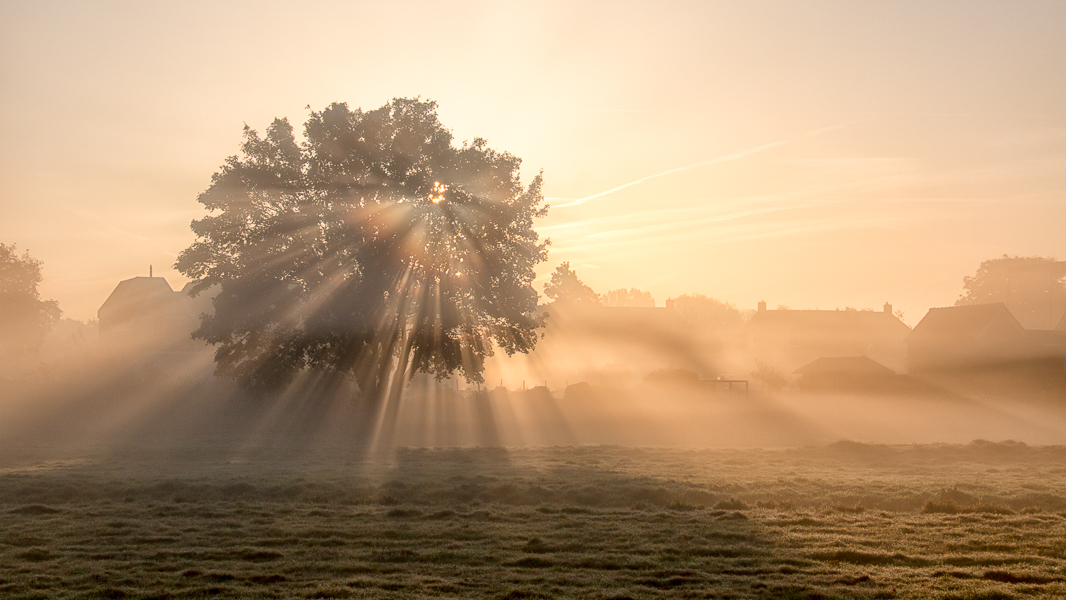 painting-with-light-2