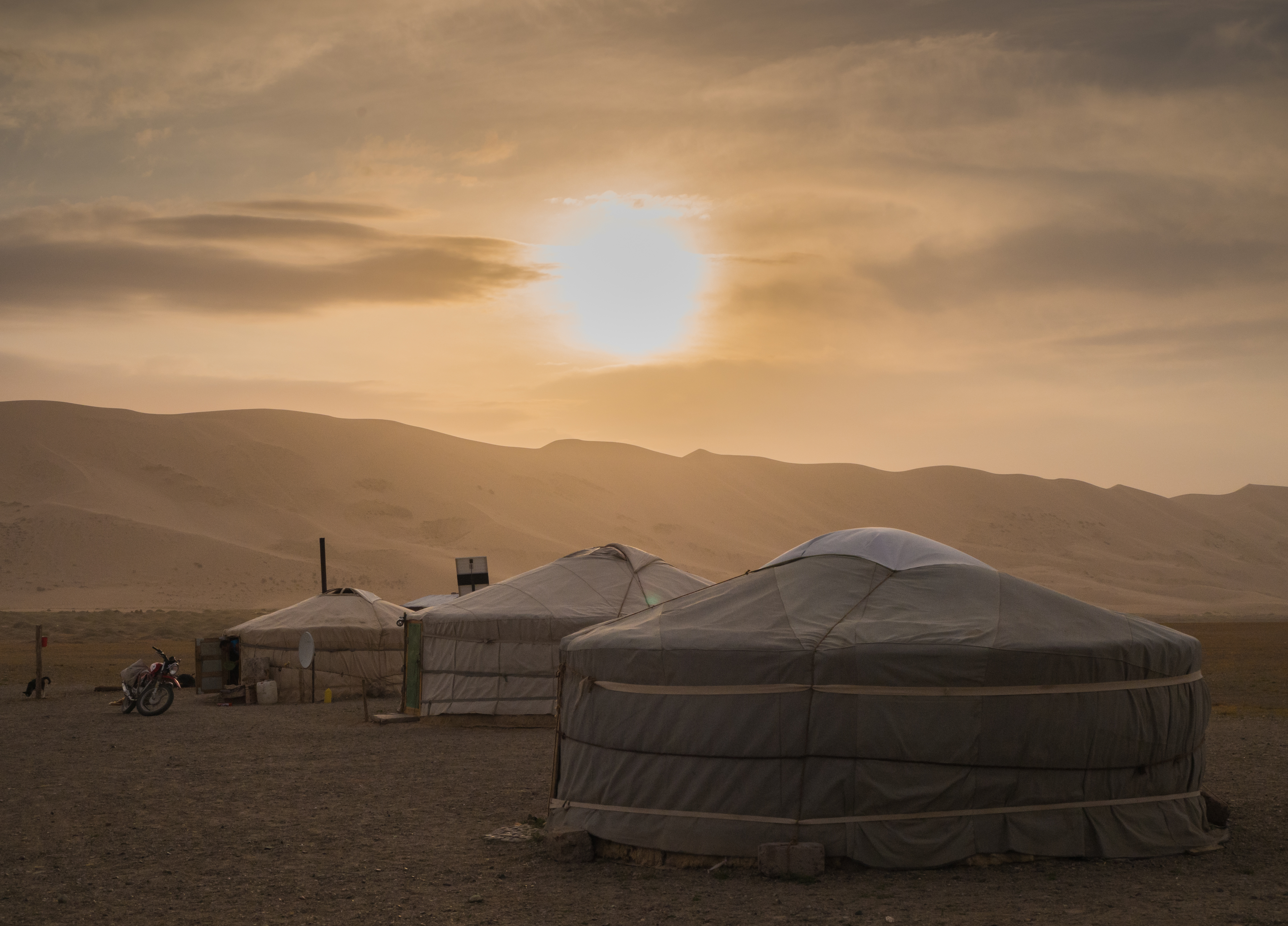 gers-bij-de-zonsondergang-in-de-gobi
