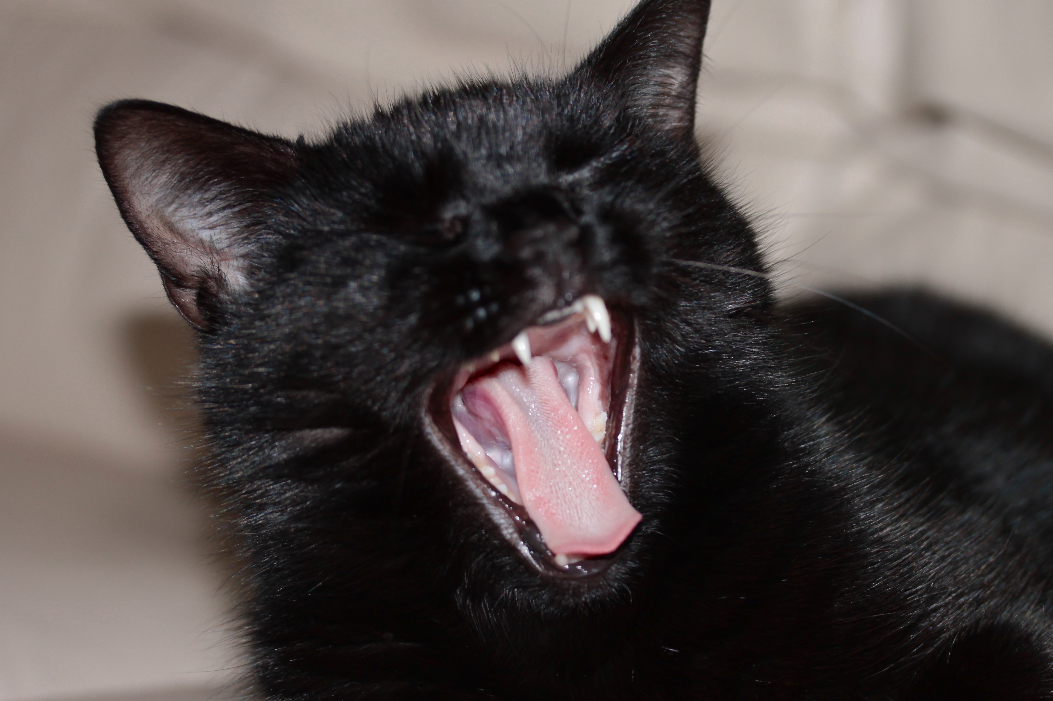 poeh-echt-slaapverwekkend-dat-poseren