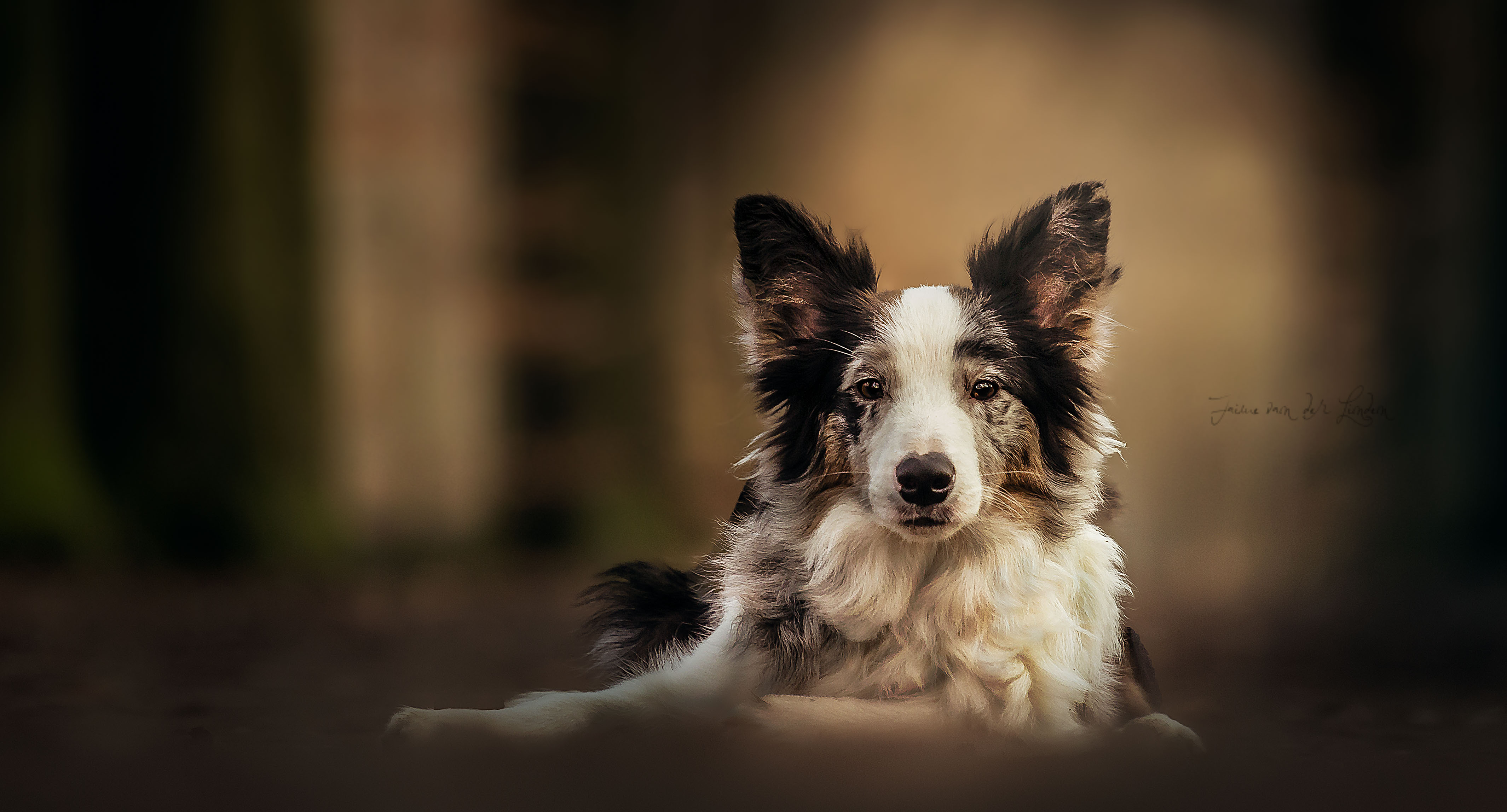 there-are-so-many-beautyful-reasons-to-be-happy