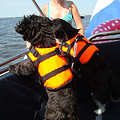 samen-op-de-boot-met-reddingvest