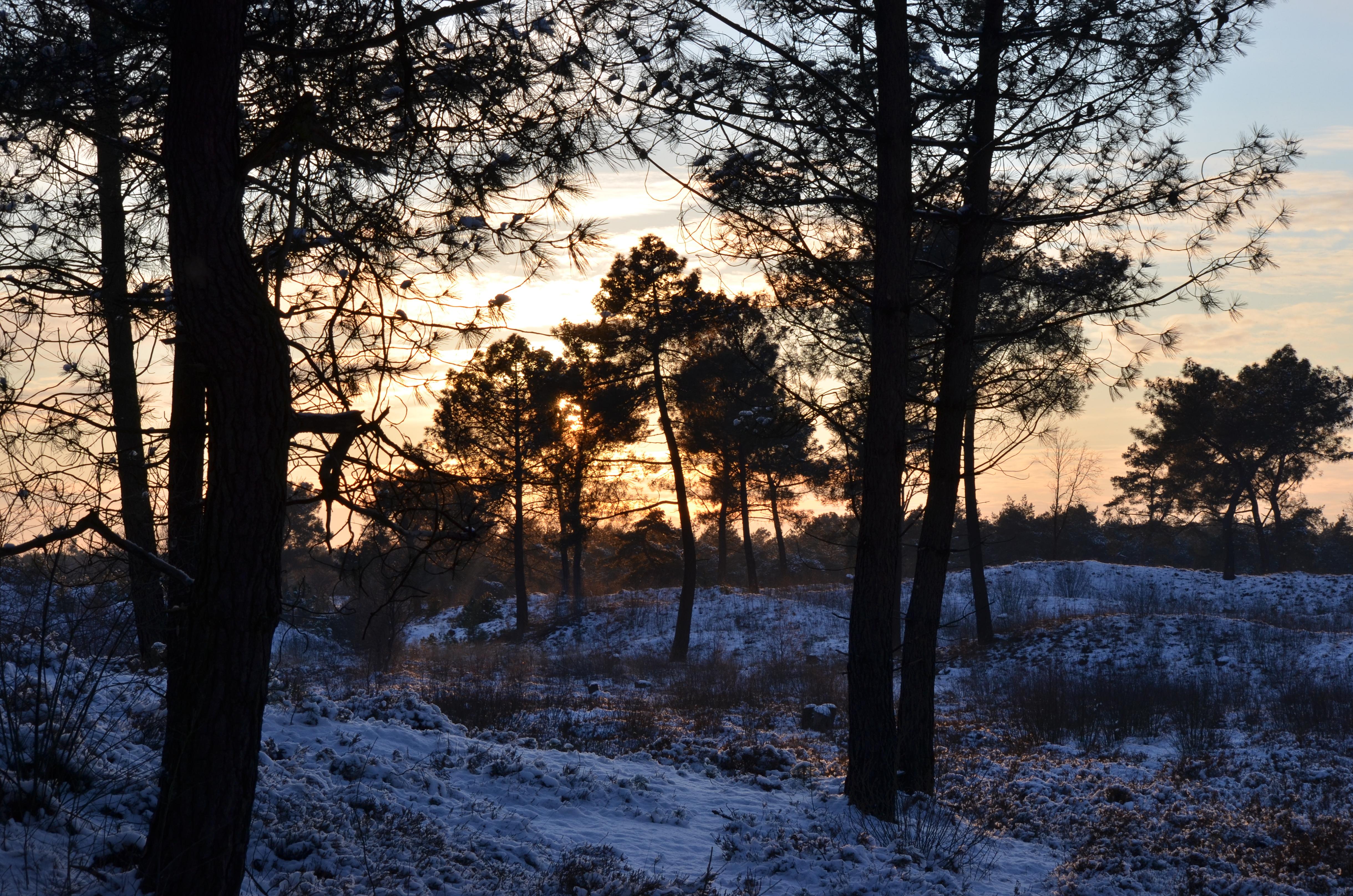 het-einde-van-een-winterdag