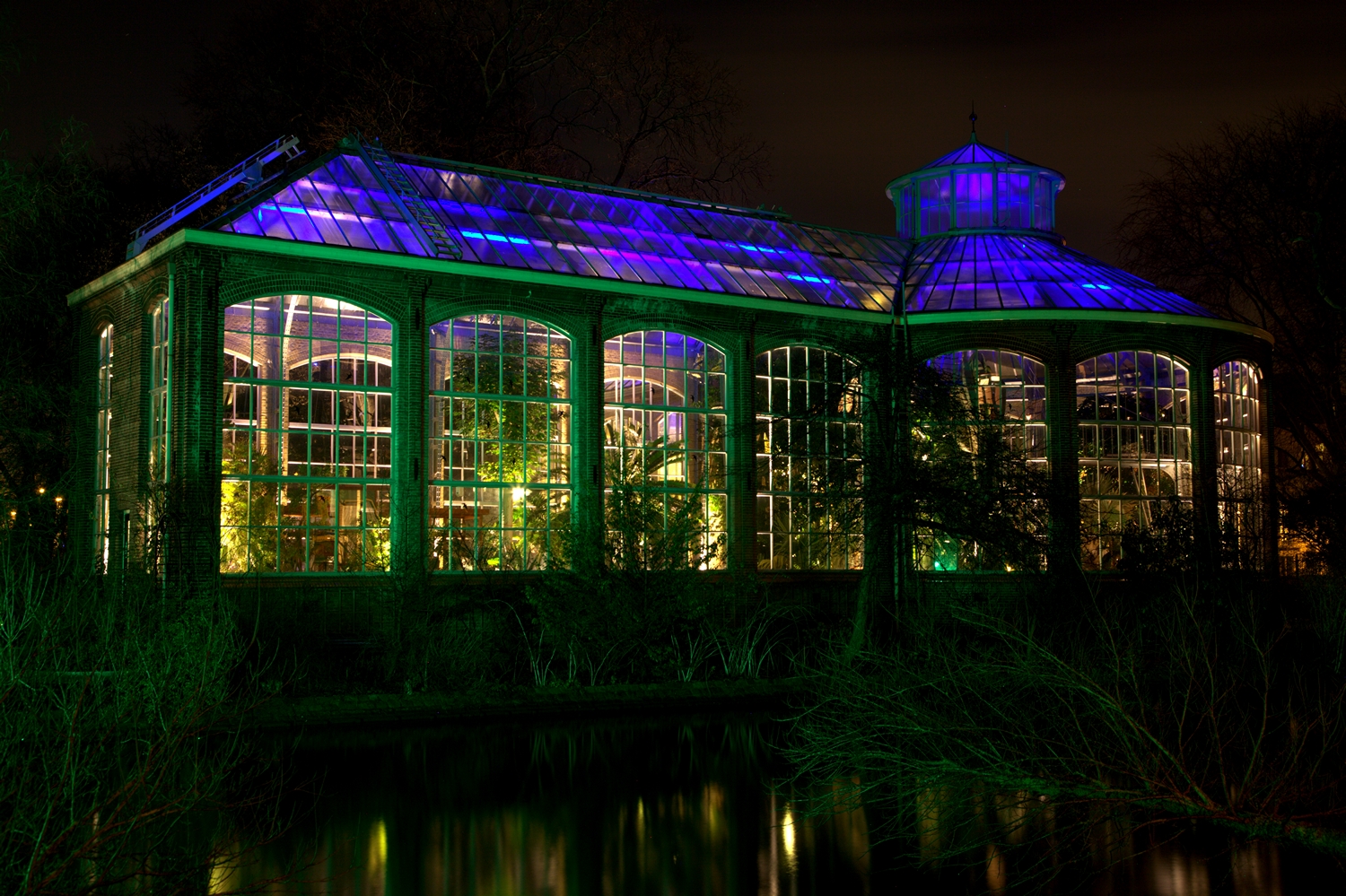 hortus-botanicus-amsterdam-at-night