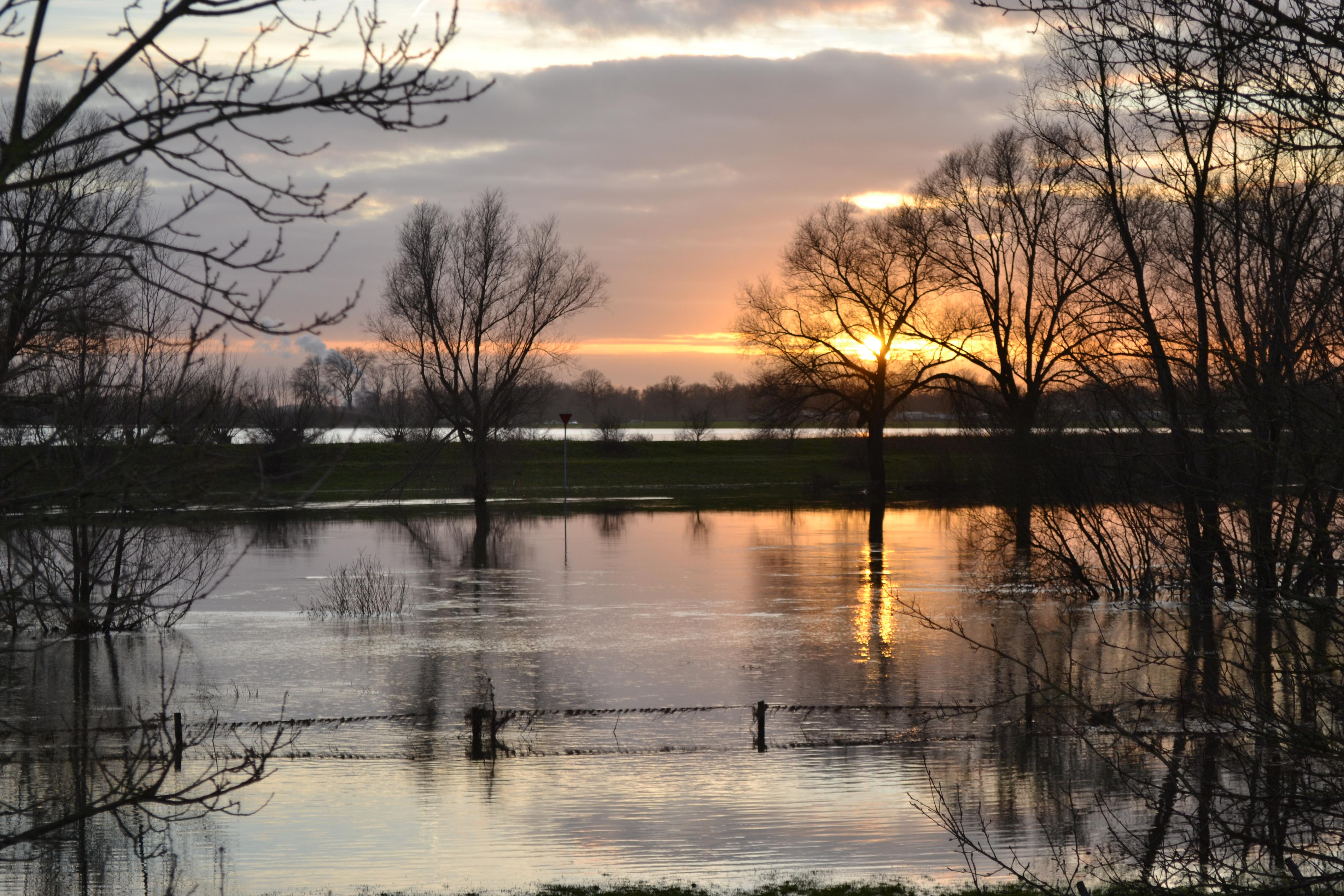zonsondergang-in-de-uiterwaarden